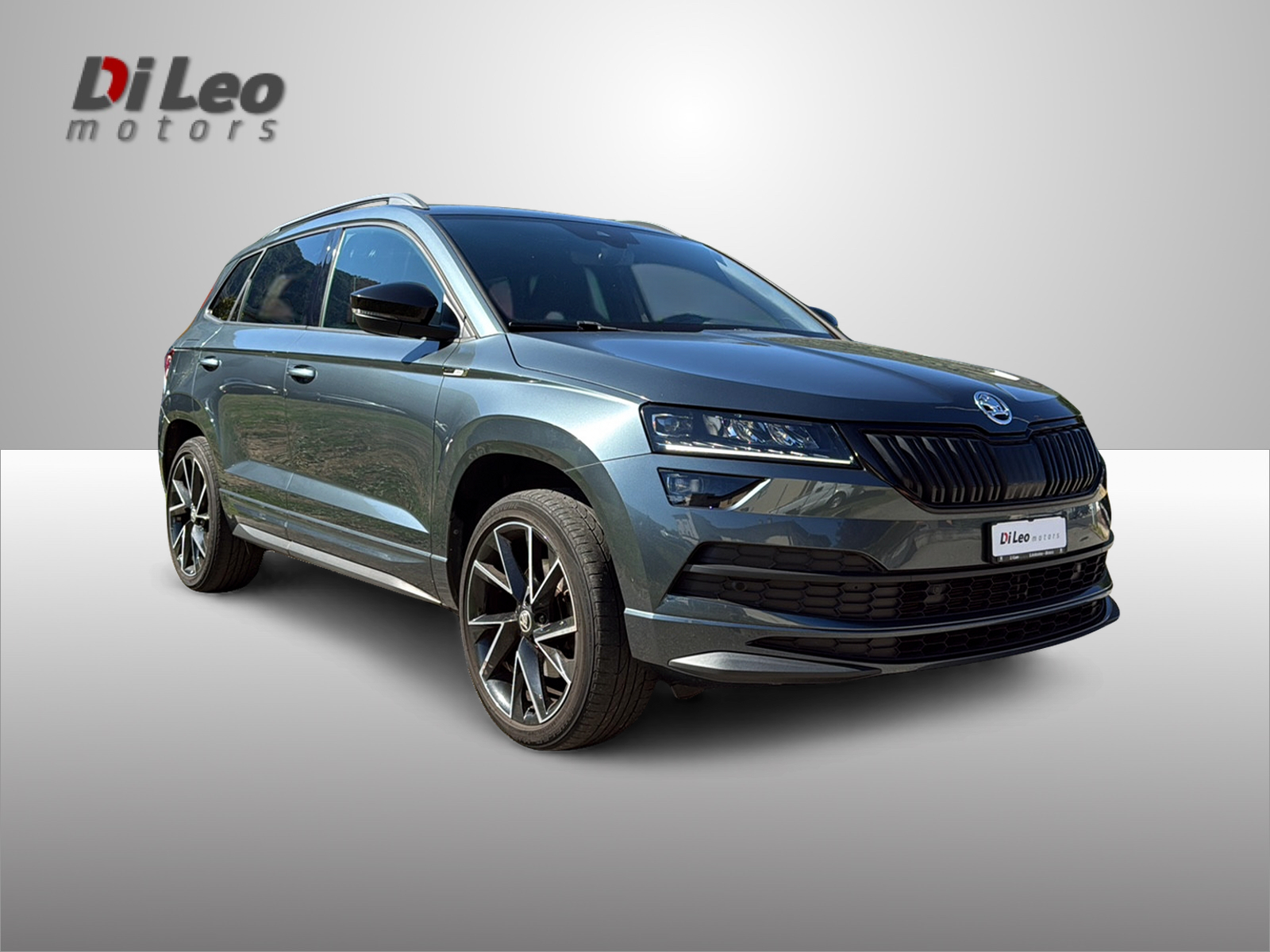 SKODA Karoq 2.0 TDI CR SportLine 4x4 DSG-image-2