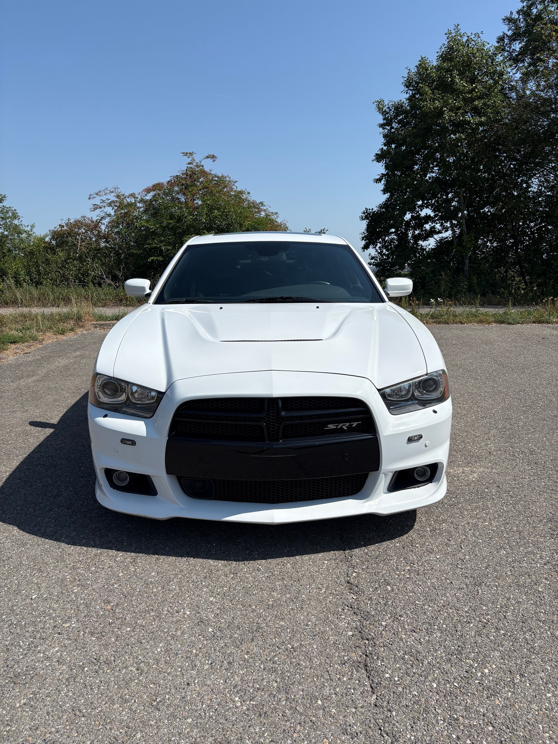 DODGE DODGE SRT-8-image-3
