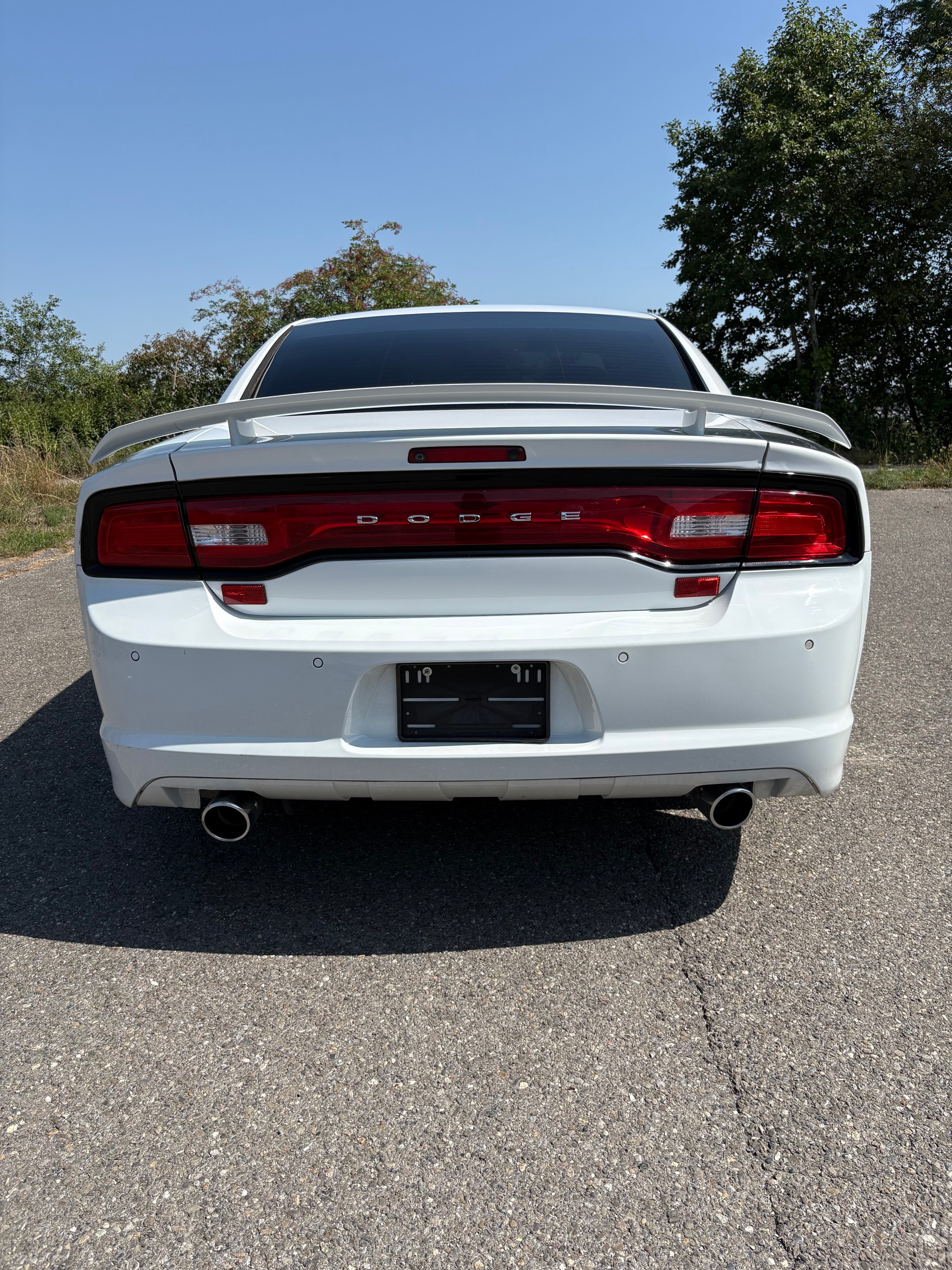 DODGE DODGE SRT-8-image-8
