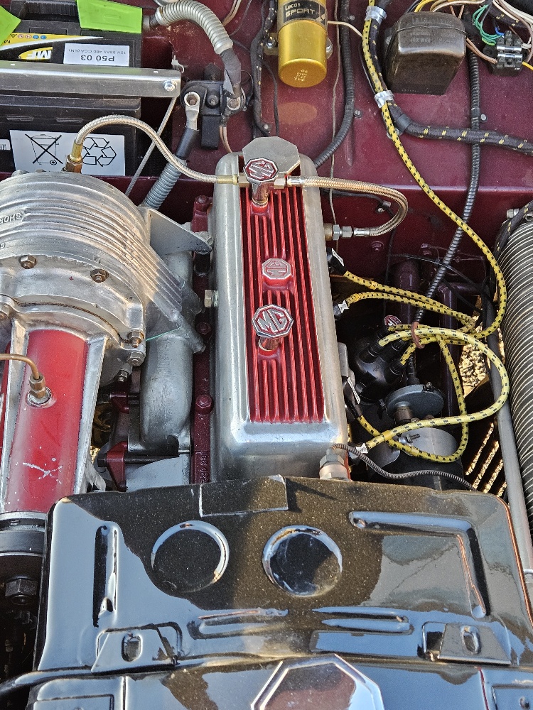 MG Arnolt-image-5