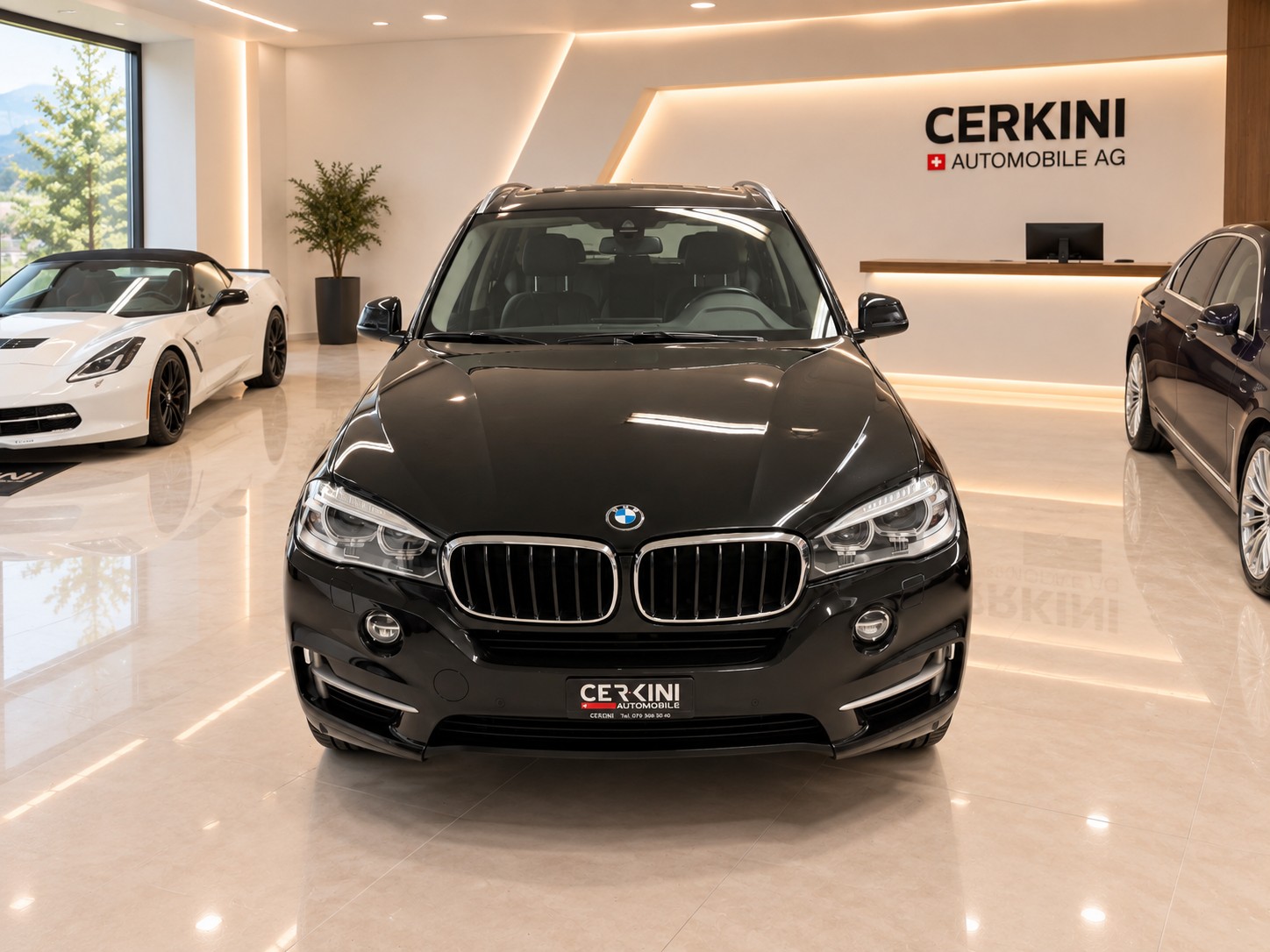 BMW X5 xDrive 30d Steptronic * Frisch ab Service * Frisch ab MFK * 8-Fach-showroom-element-2