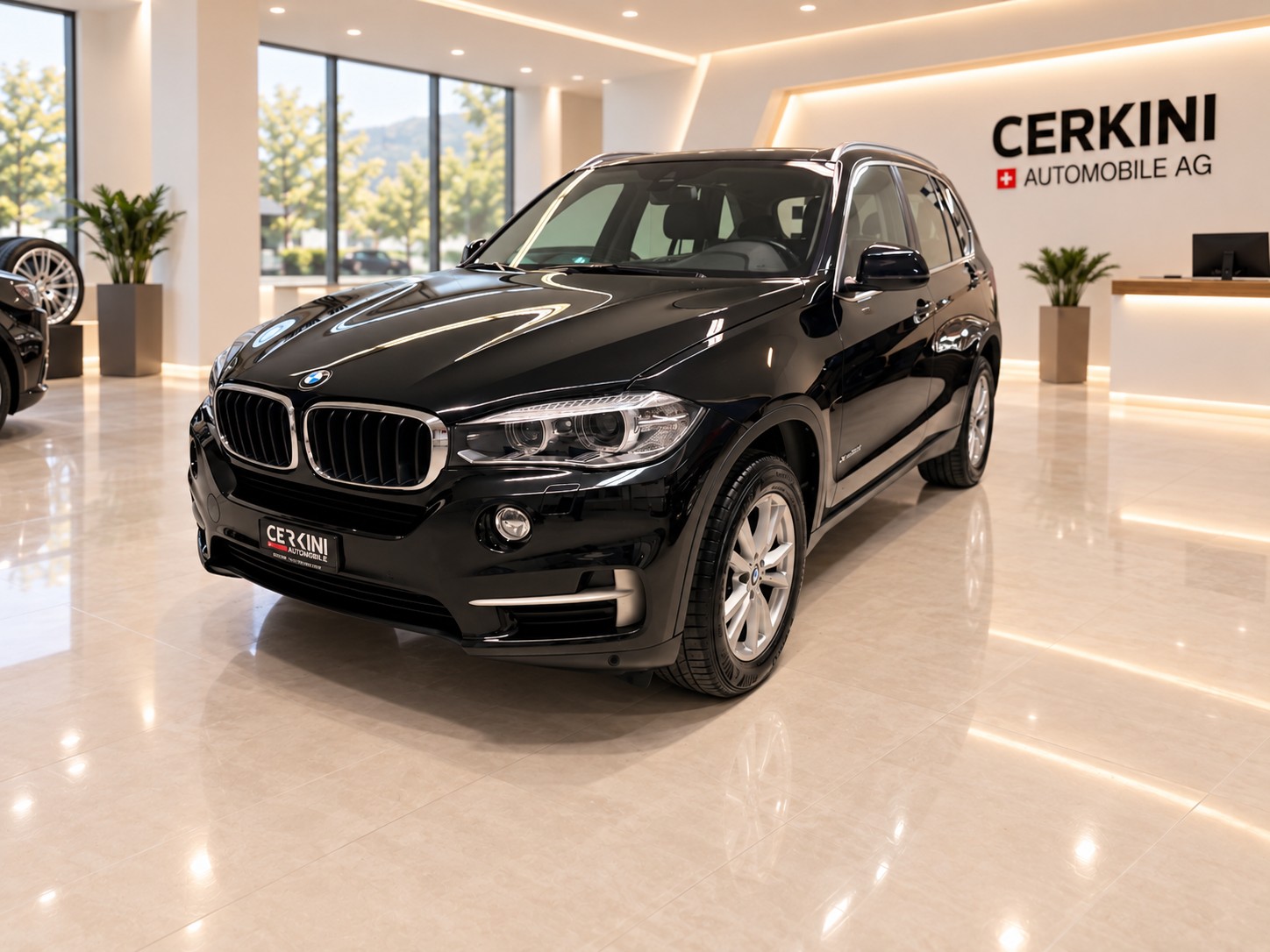 BMW X5 xDrive 30d Steptronic * Frisch ab Service * Frisch ab MFK * 8-Fach-showroom-element-1
