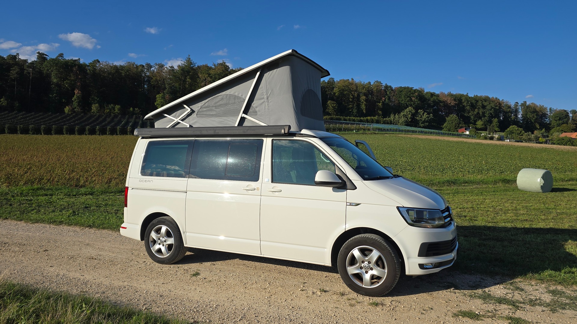 VW T6 California OCEAN-image-6