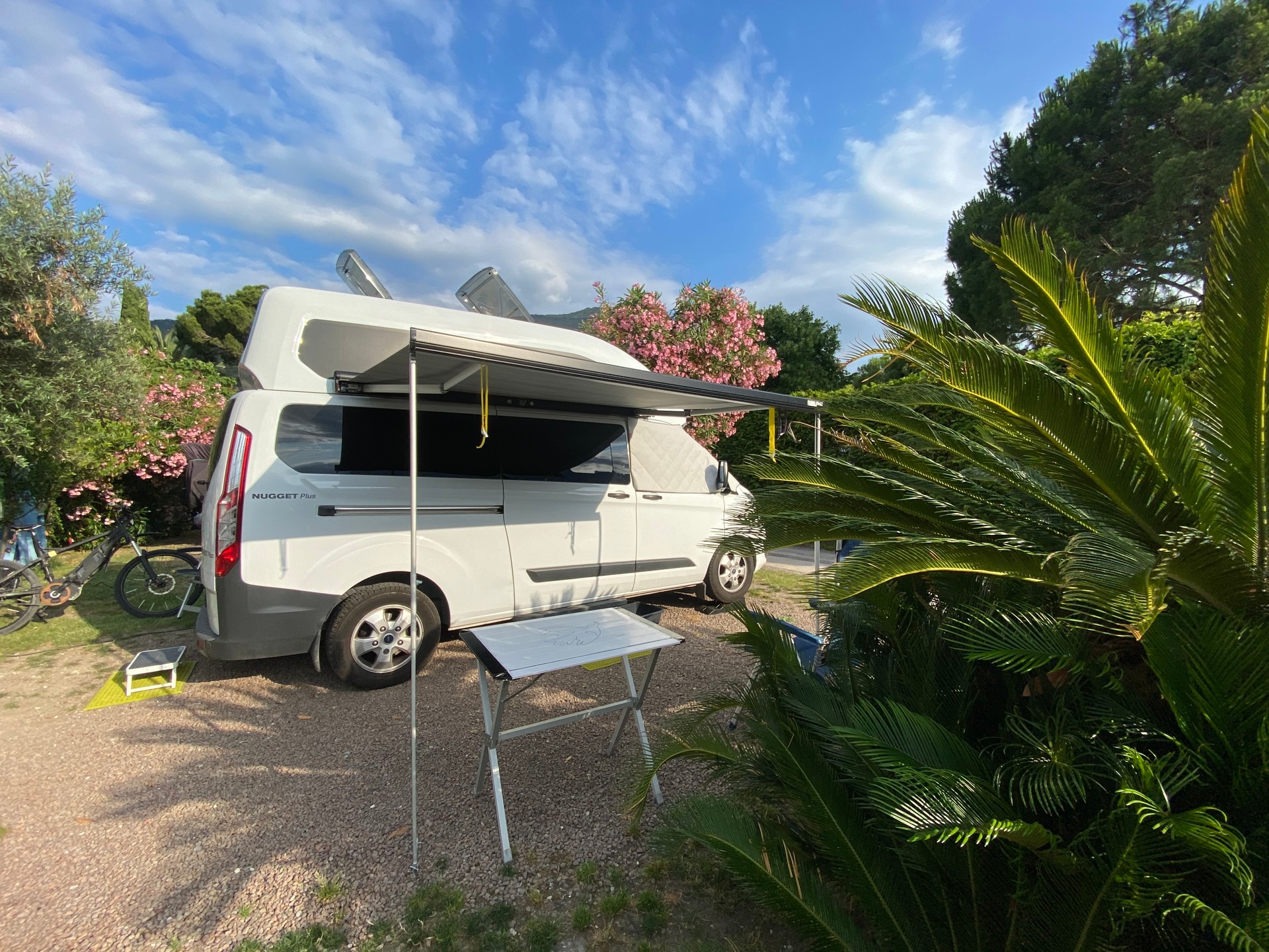 FORD L2 Nugget Plus Westfalia-image-6