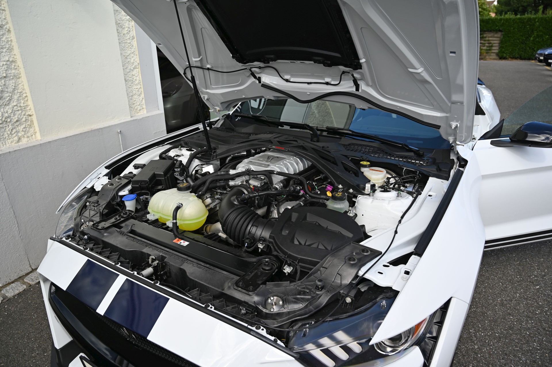 FORD Mustang Shelby GT500 Recaro-image-13