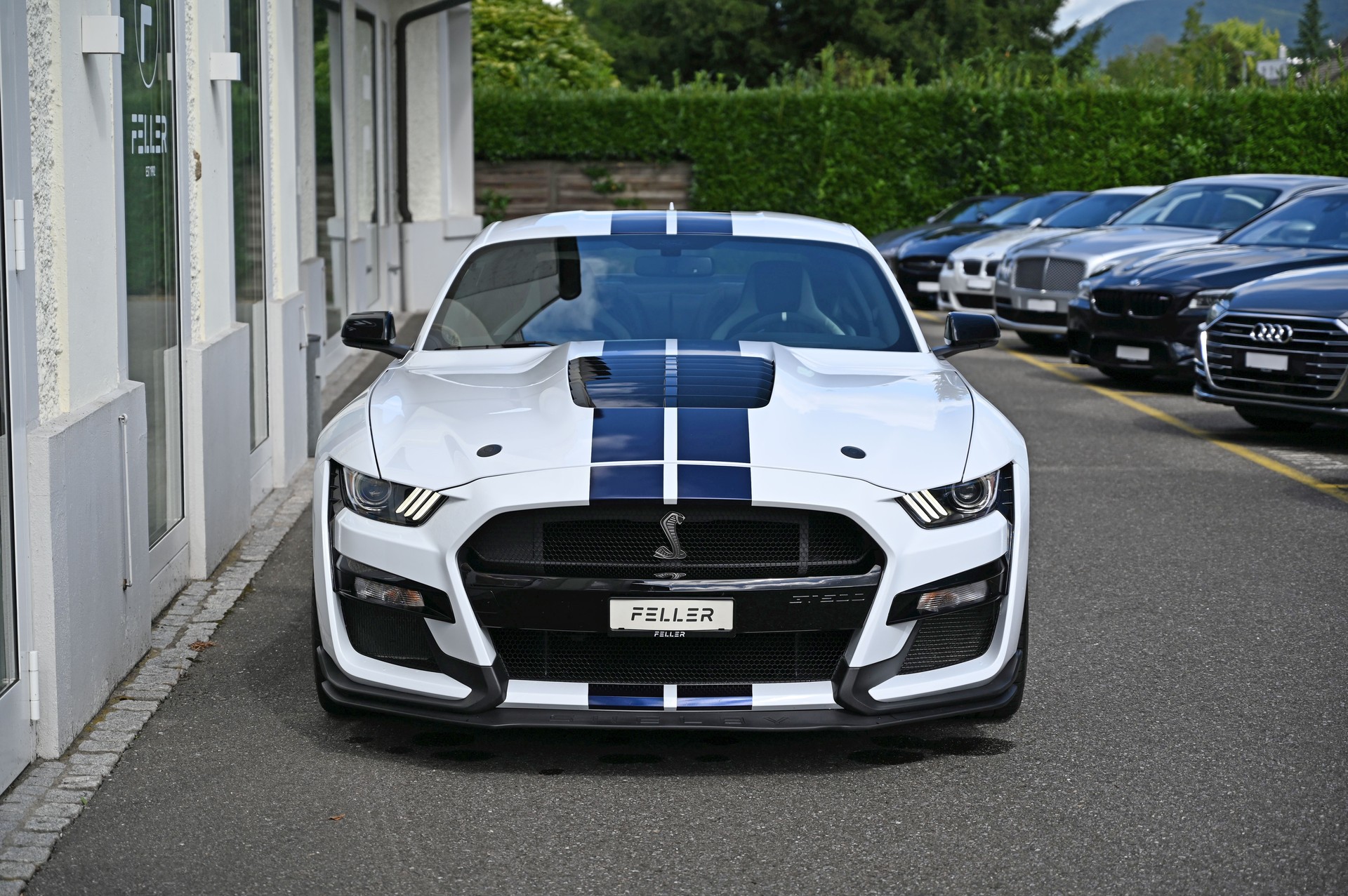 FORD Mustang Shelby GT500 Recaro-image-2