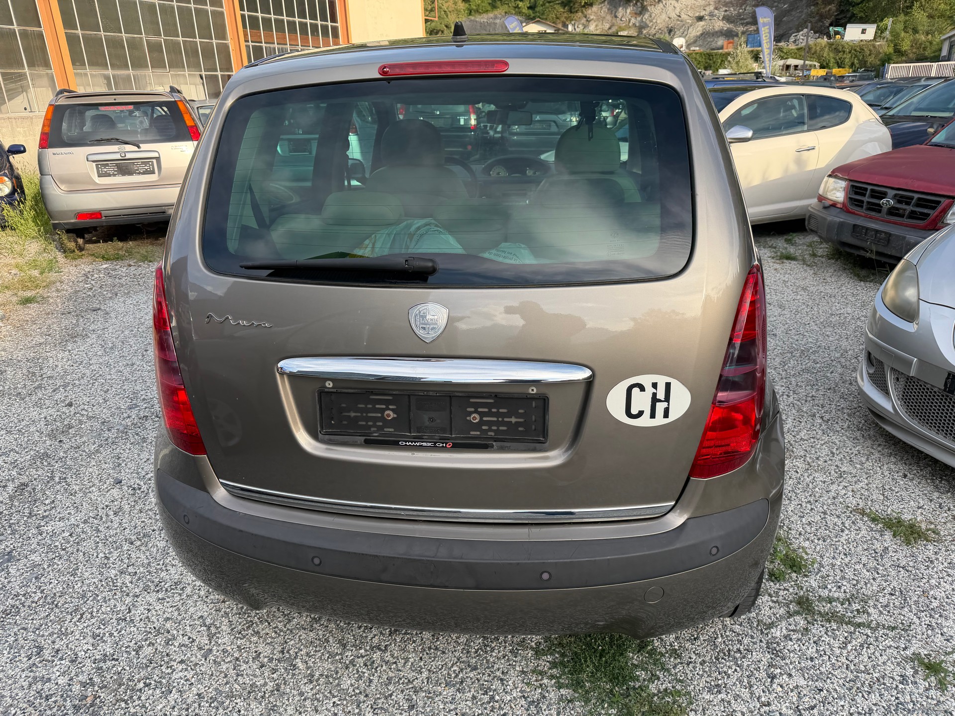 LANCIA MUSA-image-6