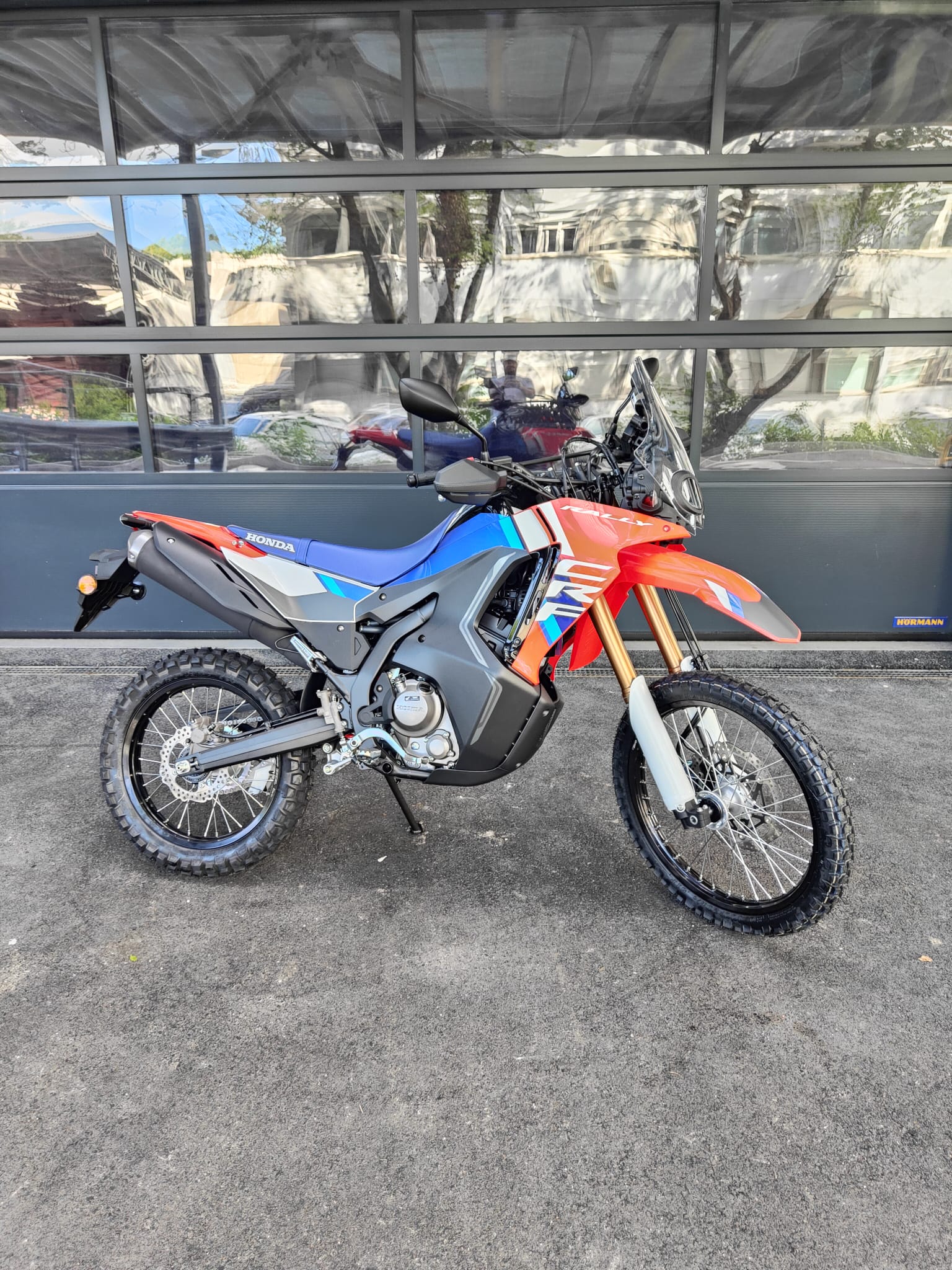 HONDA CRF 300 RL Rally-image-3