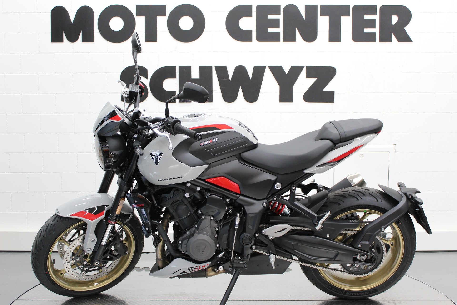 TRIUMPH 800-image-3