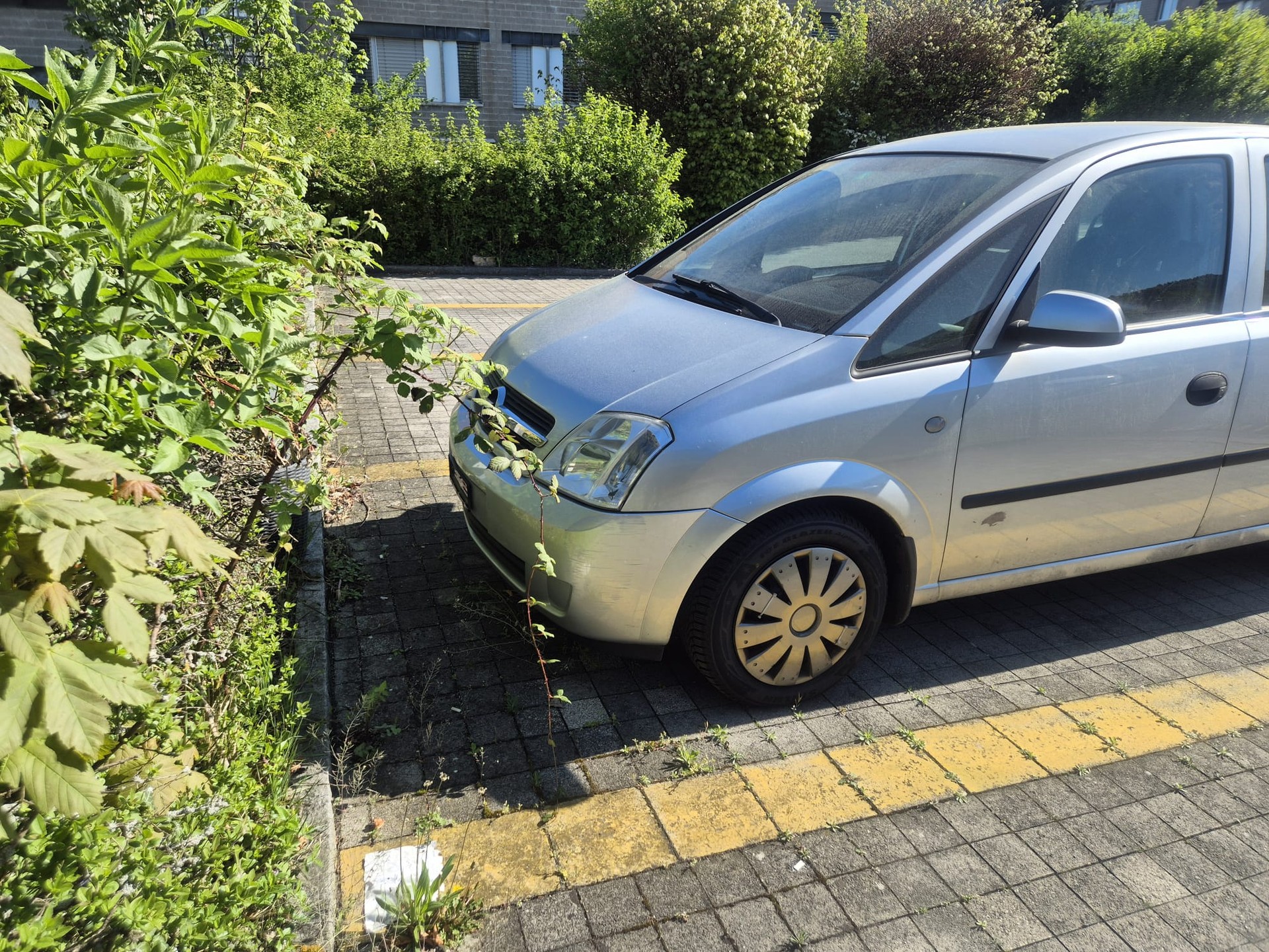 OPEL Meriva 1.6i 16V Essentia-image-5