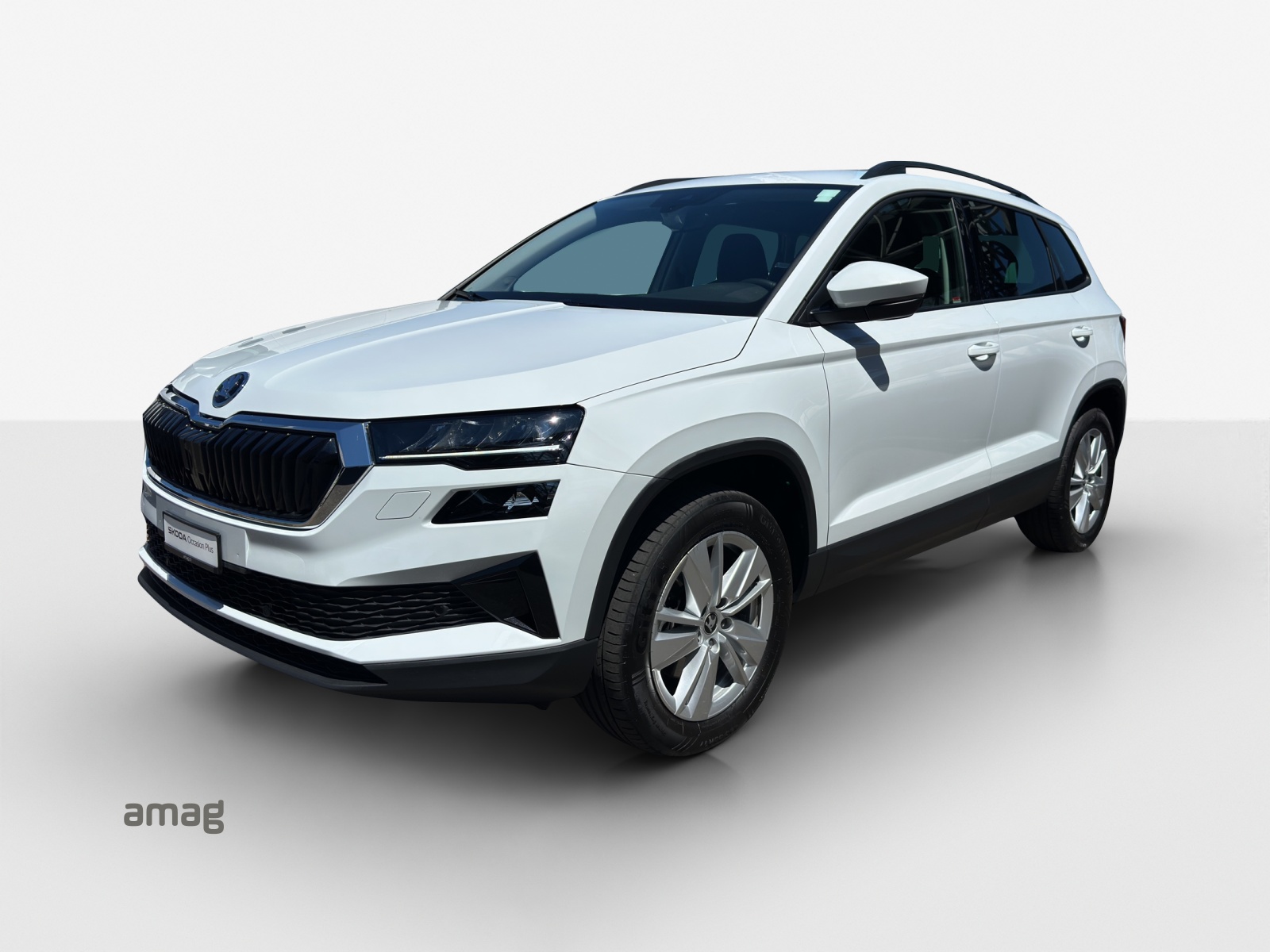 SKODA Karoq 2.0 TDI CR Selection 4x4 DSG