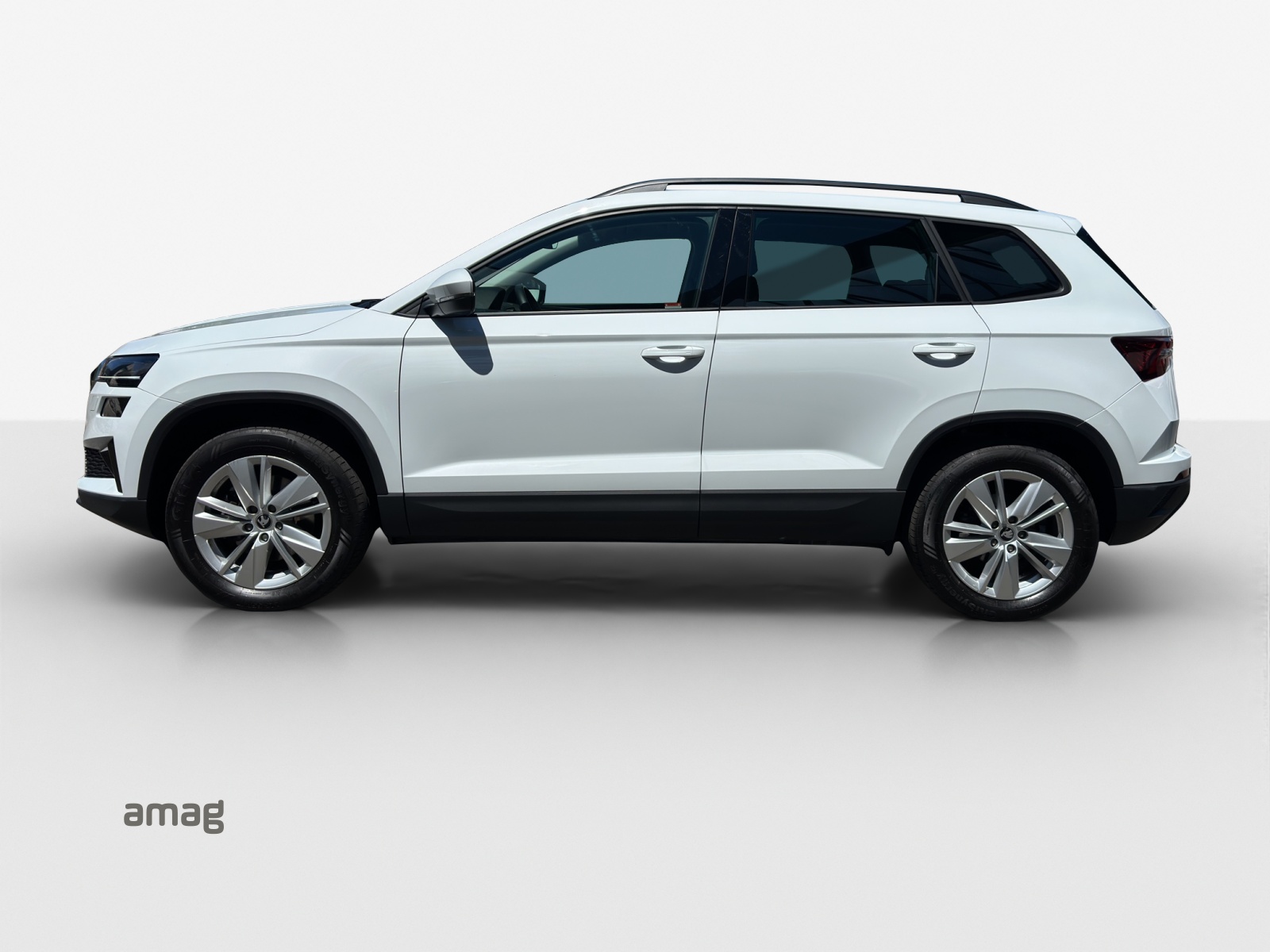 SKODA Karoq 2.0 TDI CR Selection 4x4 DSG-showroom-element-1