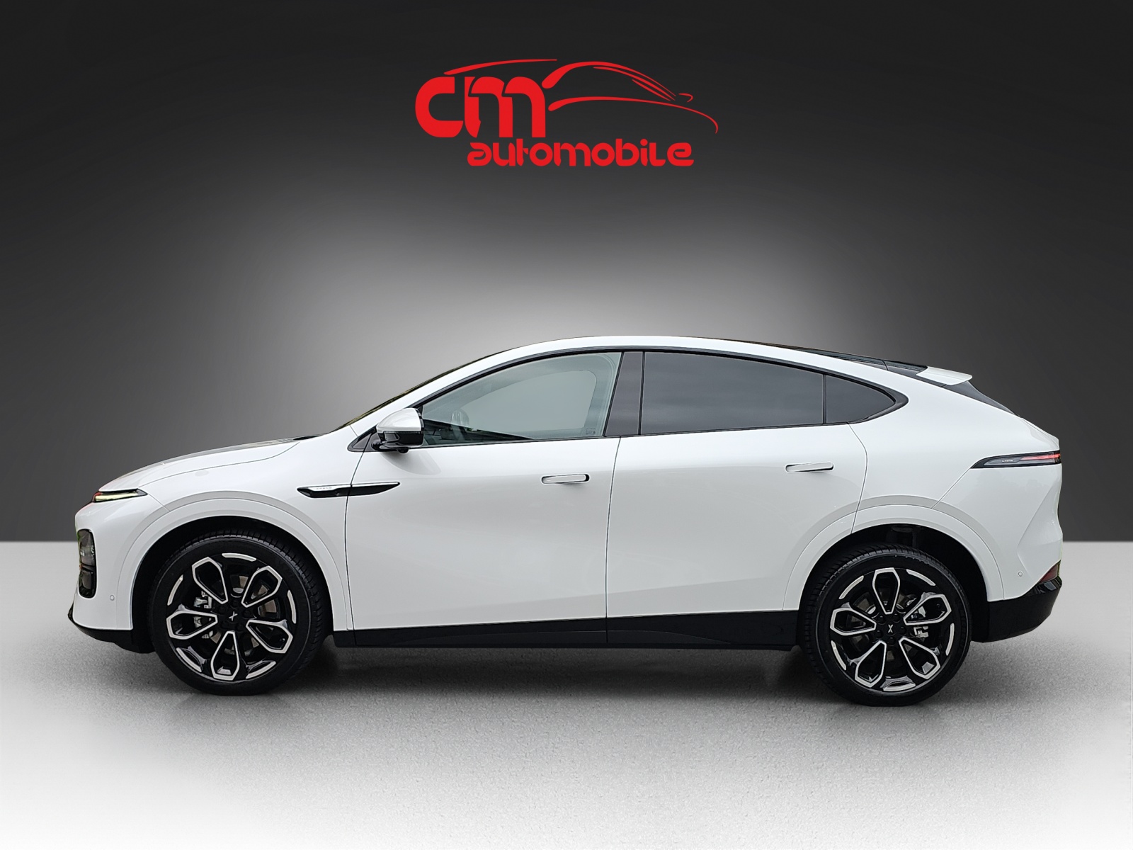 XPENG G6 80kWh Performance AWD-image-6