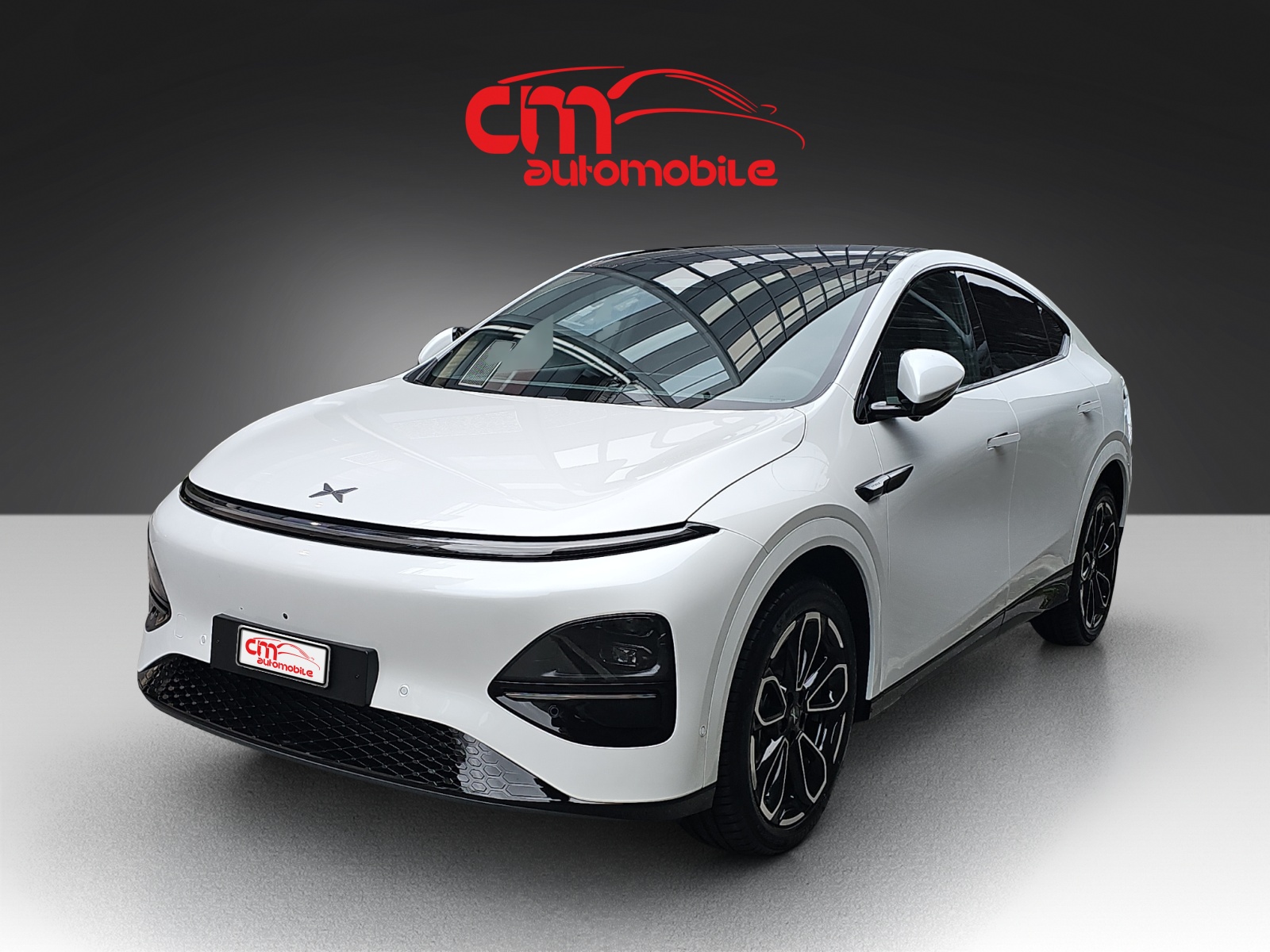 XPENG G6 80kWh Performance AWD