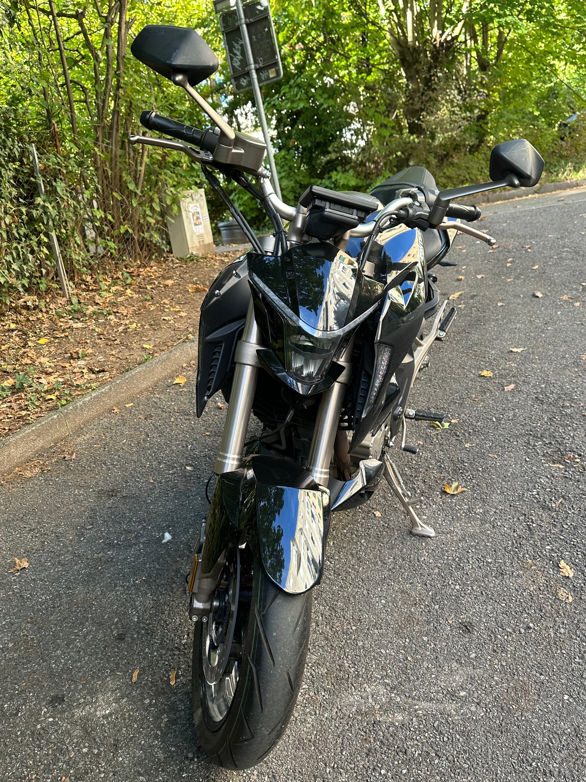 ZONTES 310 R-image-3
