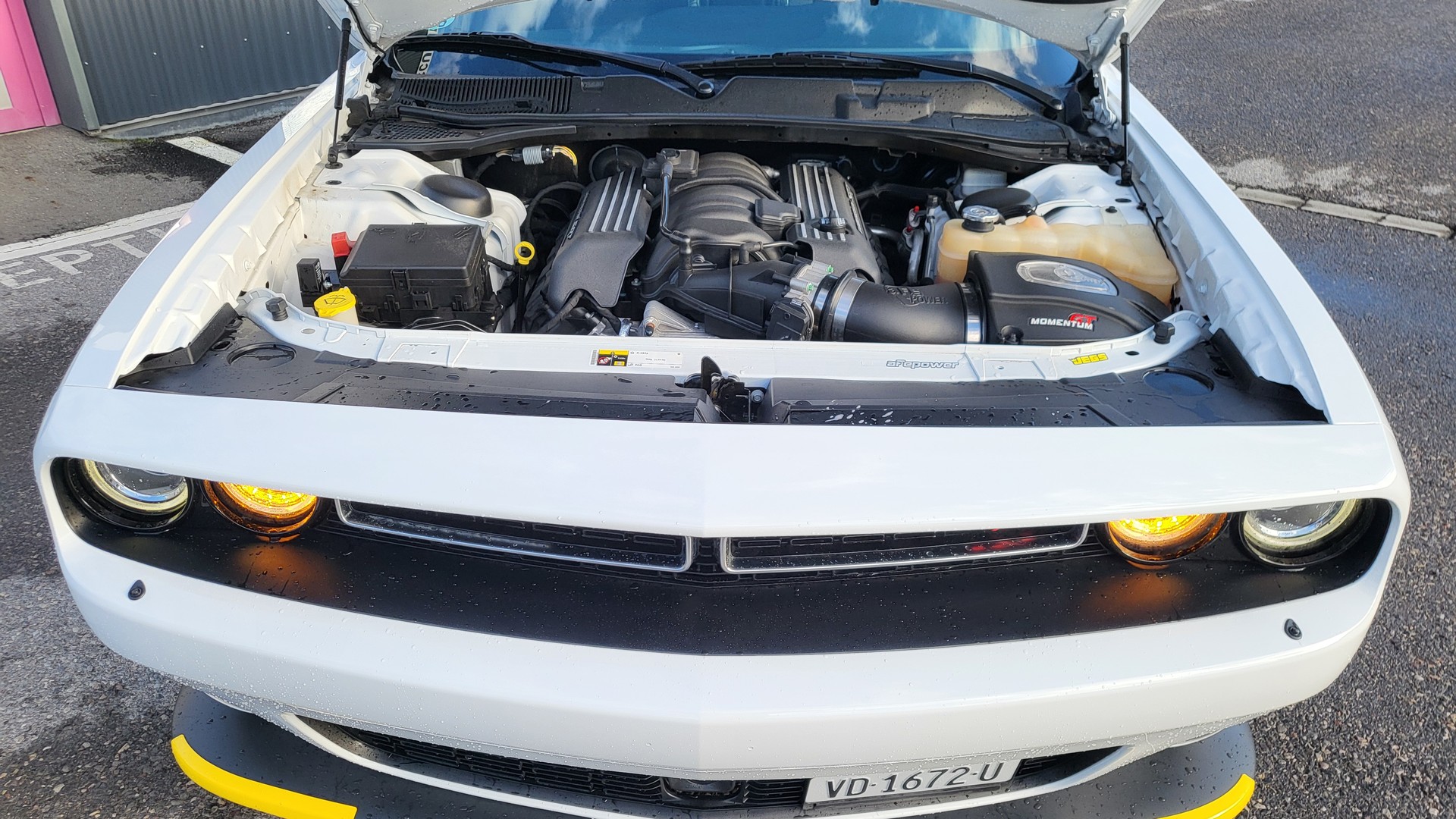DODGE Challenger 6.4 RT-image-6