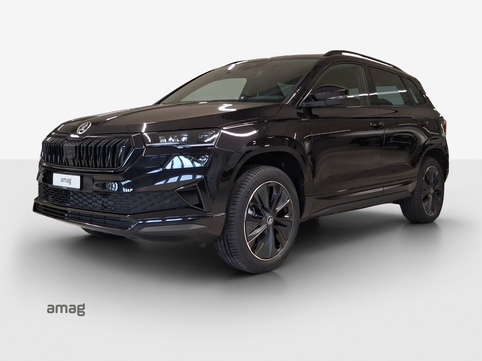 SKODA Karoq Dynamic Limited Edition