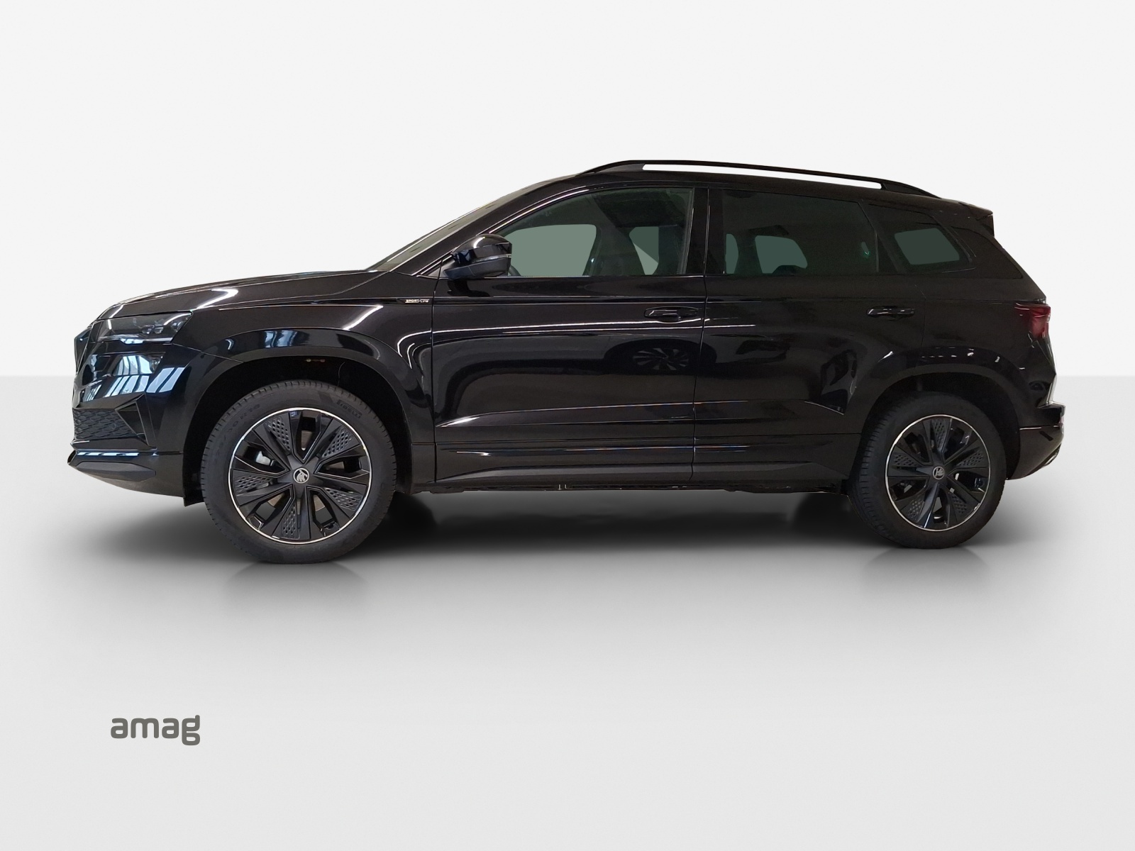 SKODA Karoq Dynamic Limited Edition-showroom-element-1