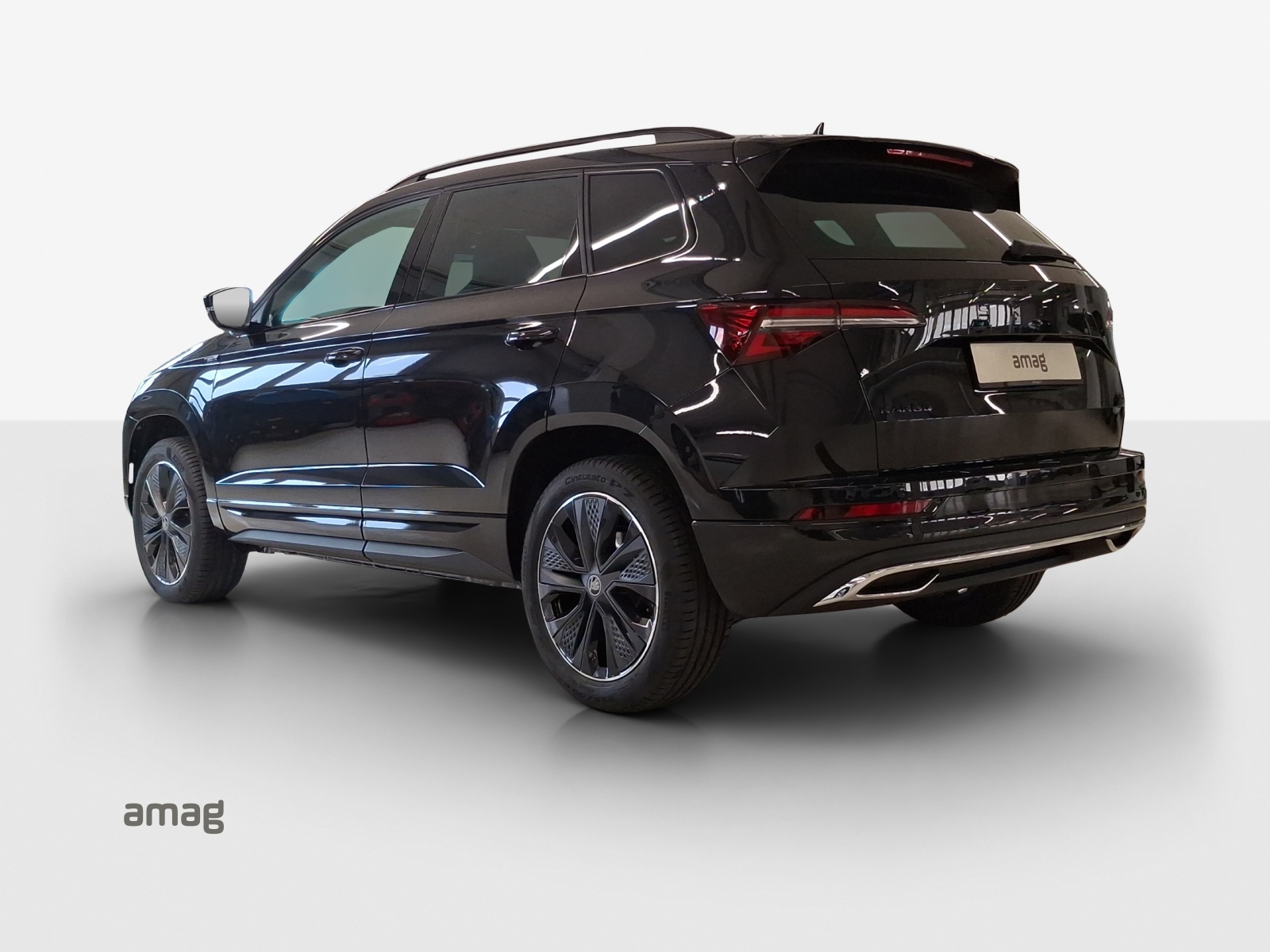 SKODA Karoq Dynamic Limited Edition-showroom-element-2