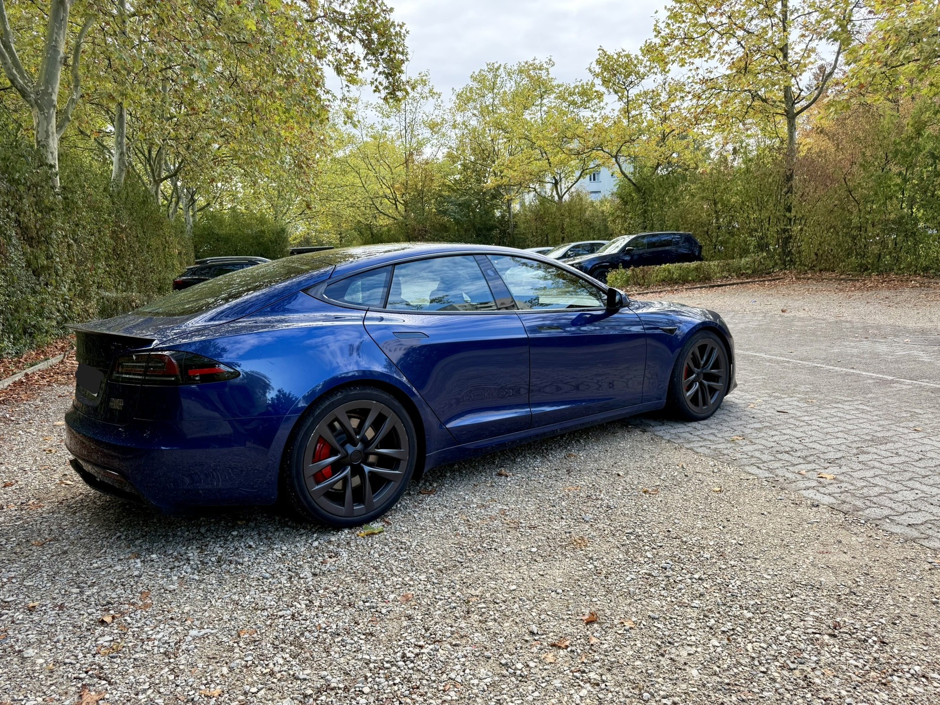 TESLA Model S 100kWh Plaid-image-3
