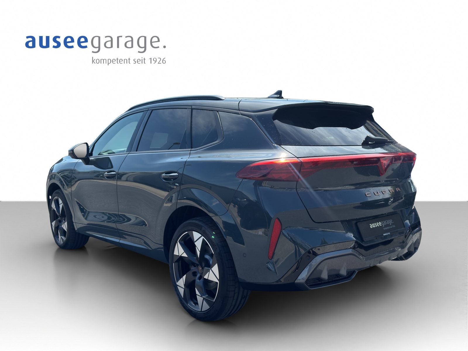 CUPRA Terramar 2.0 TSI VZ 4Drive DSG-showroom-element-2