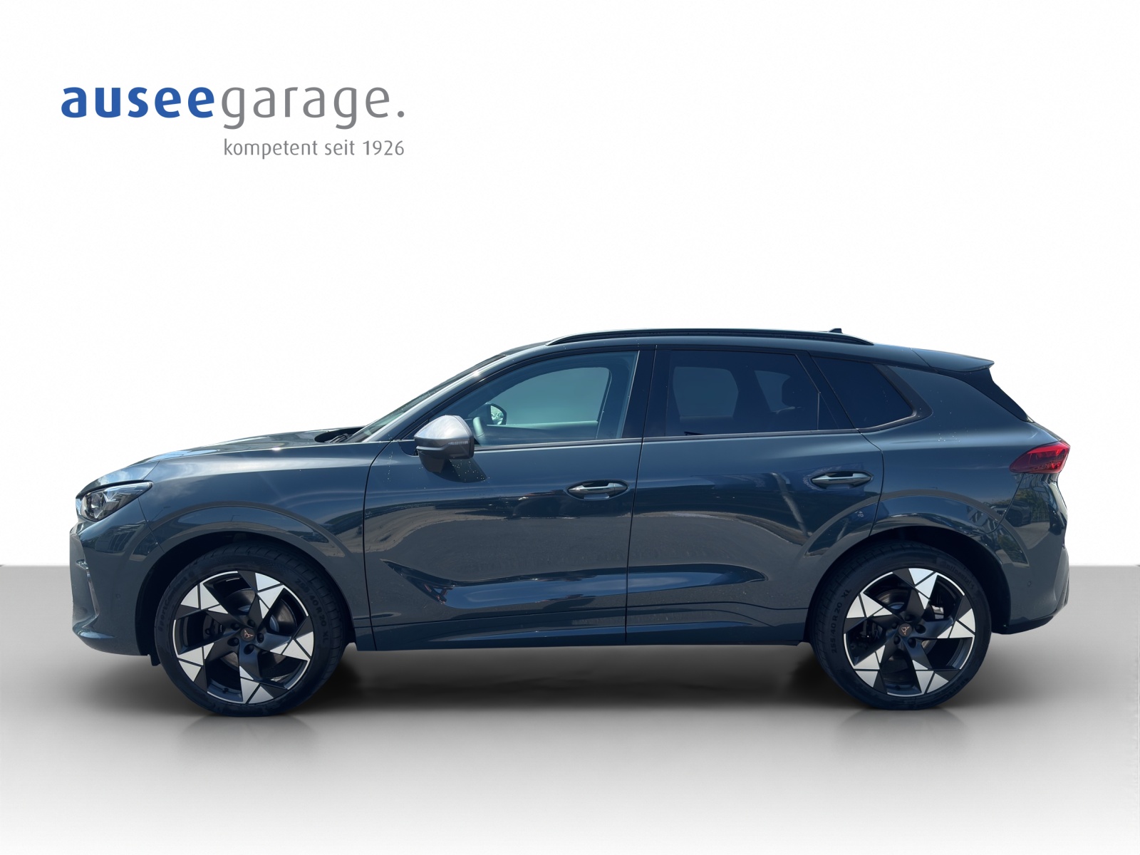 CUPRA Terramar 2.0 TSI VZ 4Drive DSG-showroom-element-1