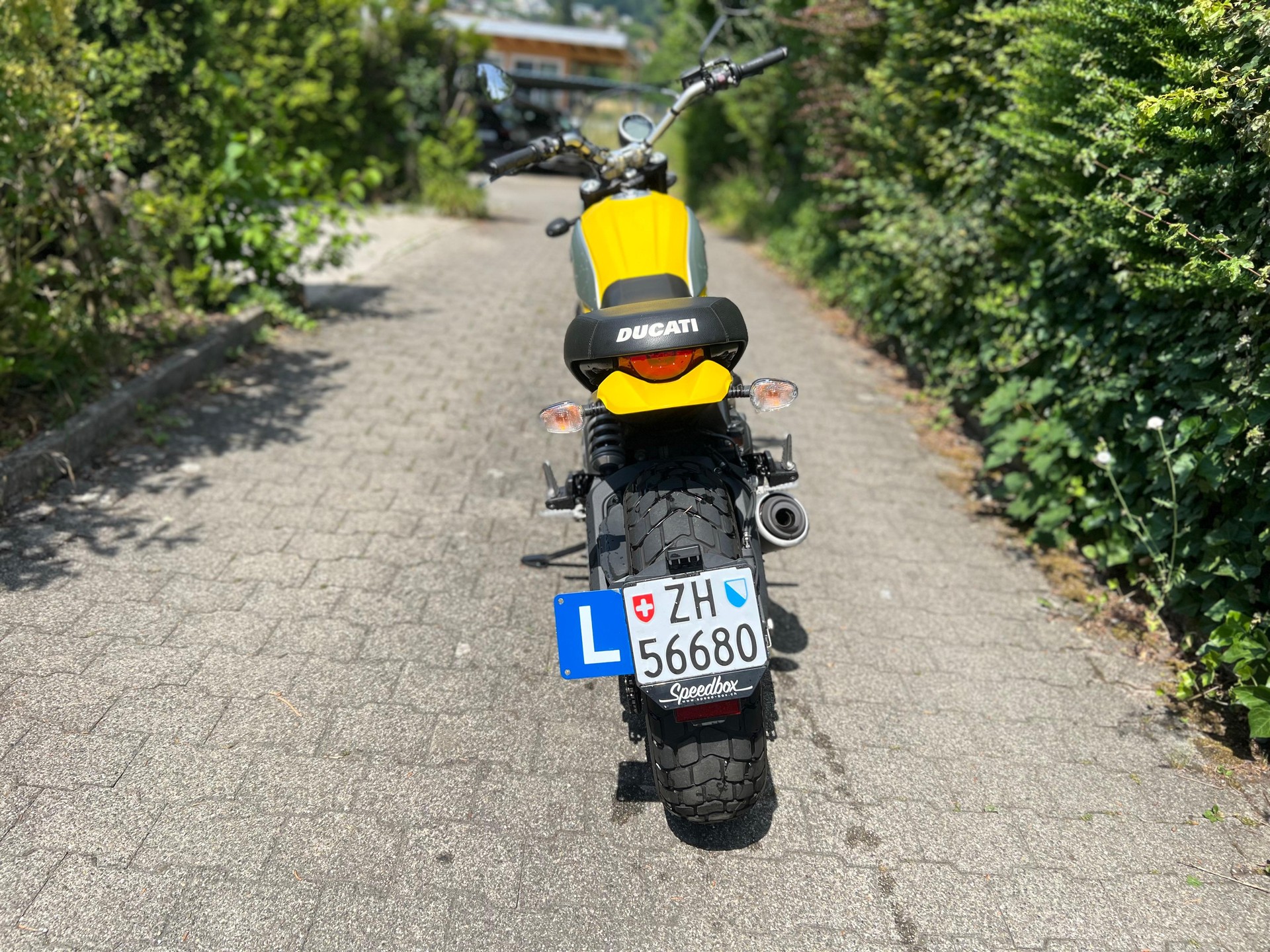 DUCATI Scrambler 800 Street Classic (35kW) ABS-image-3