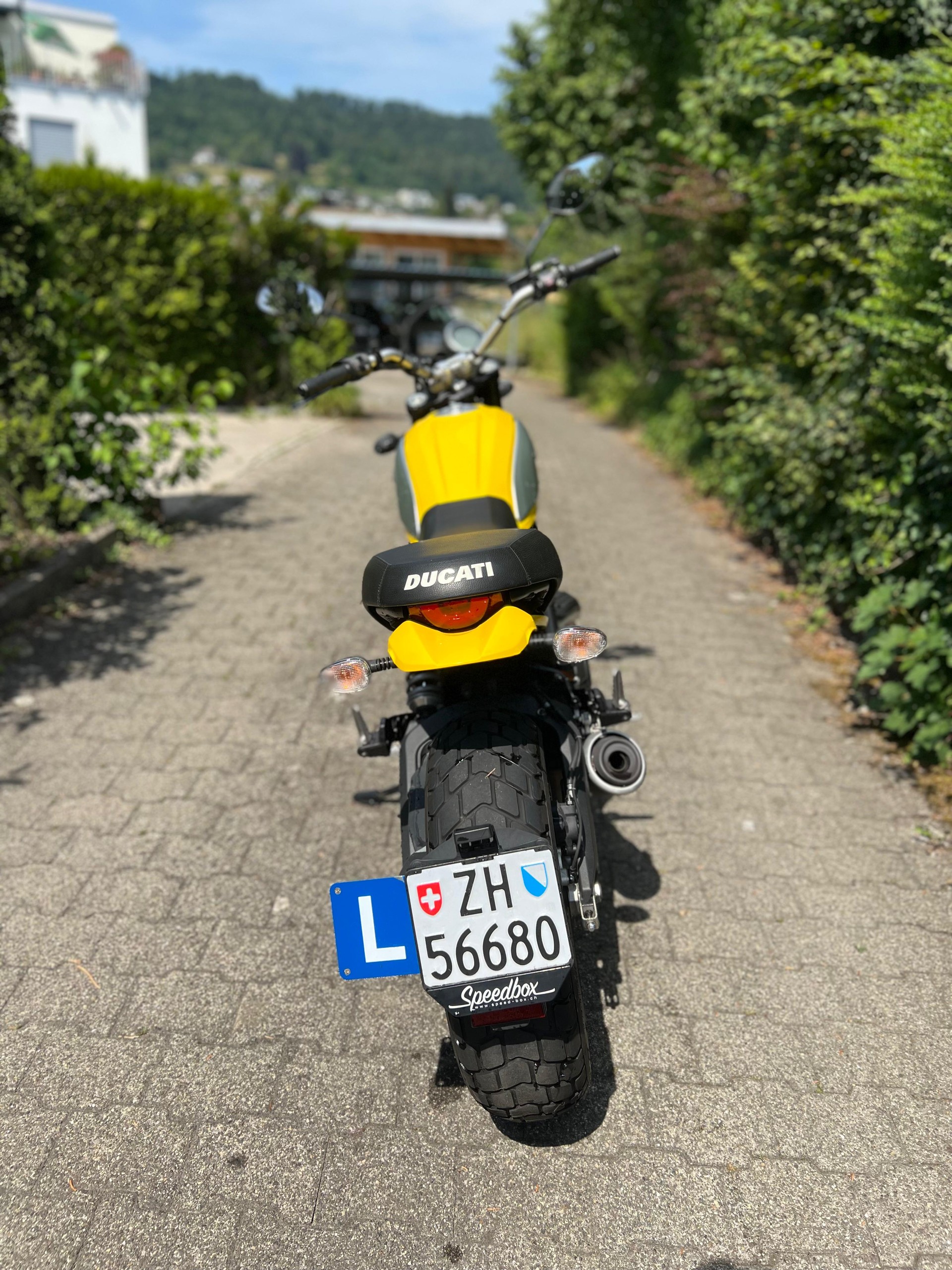 DUCATI Scrambler 800 Street Classic (35kW) ABS-image-5