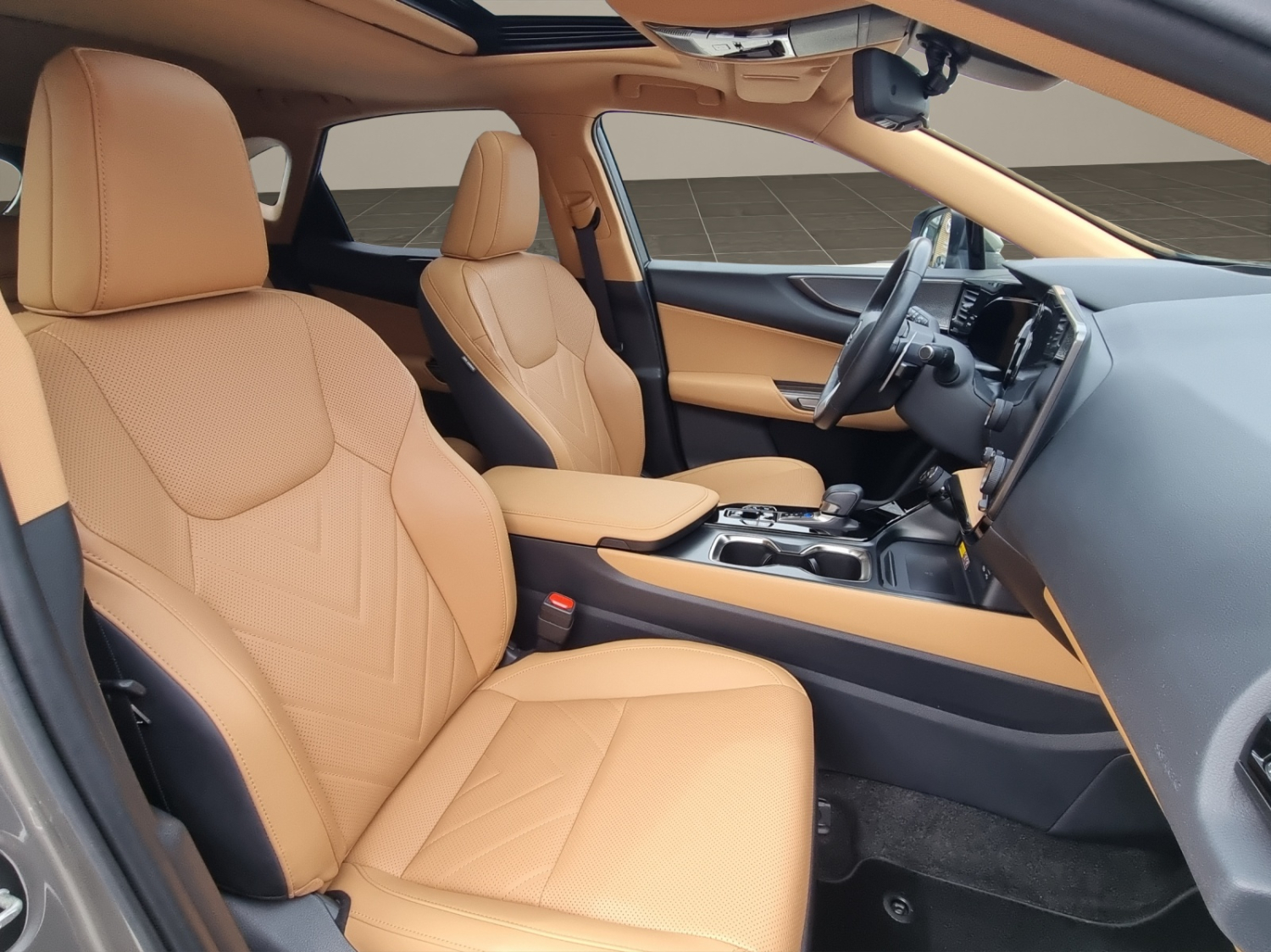 LEXUS NX 450h+ Excellence-image-11