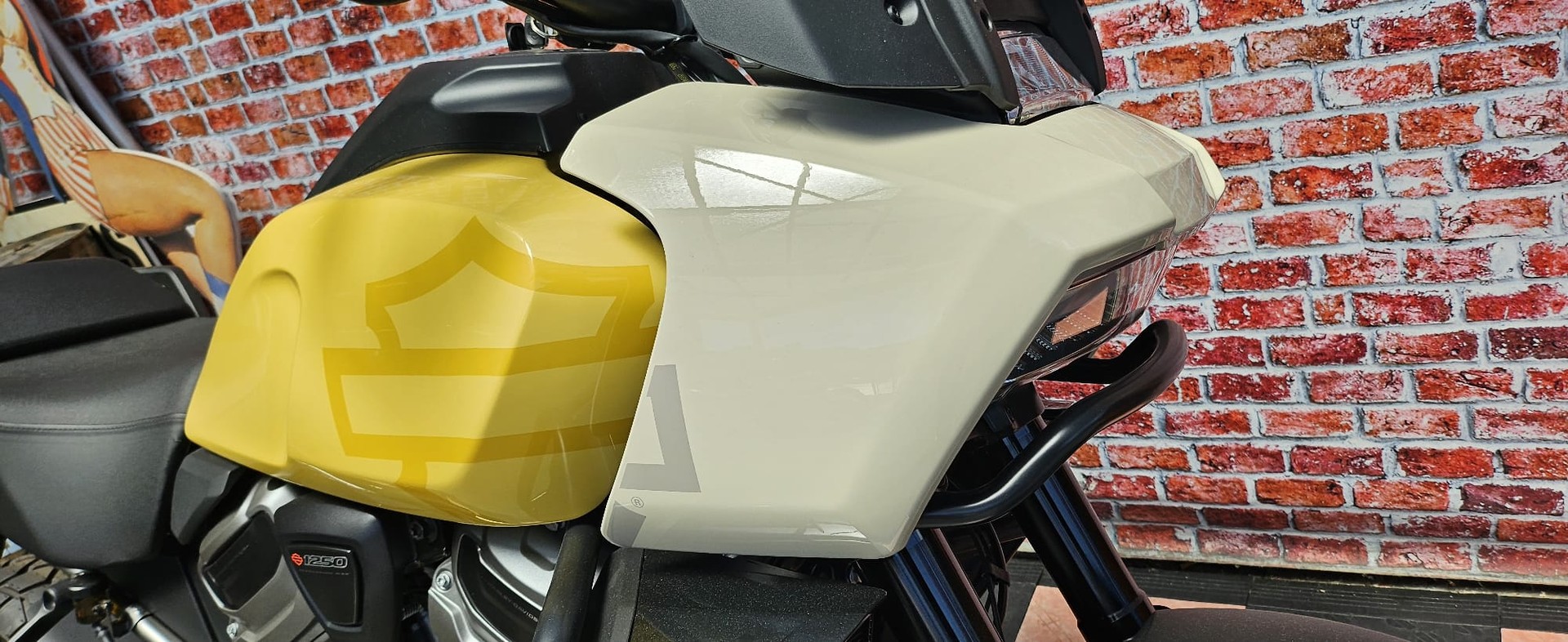 HARLEY-DAVIDSON RA Pan America 1250 Special-image-5