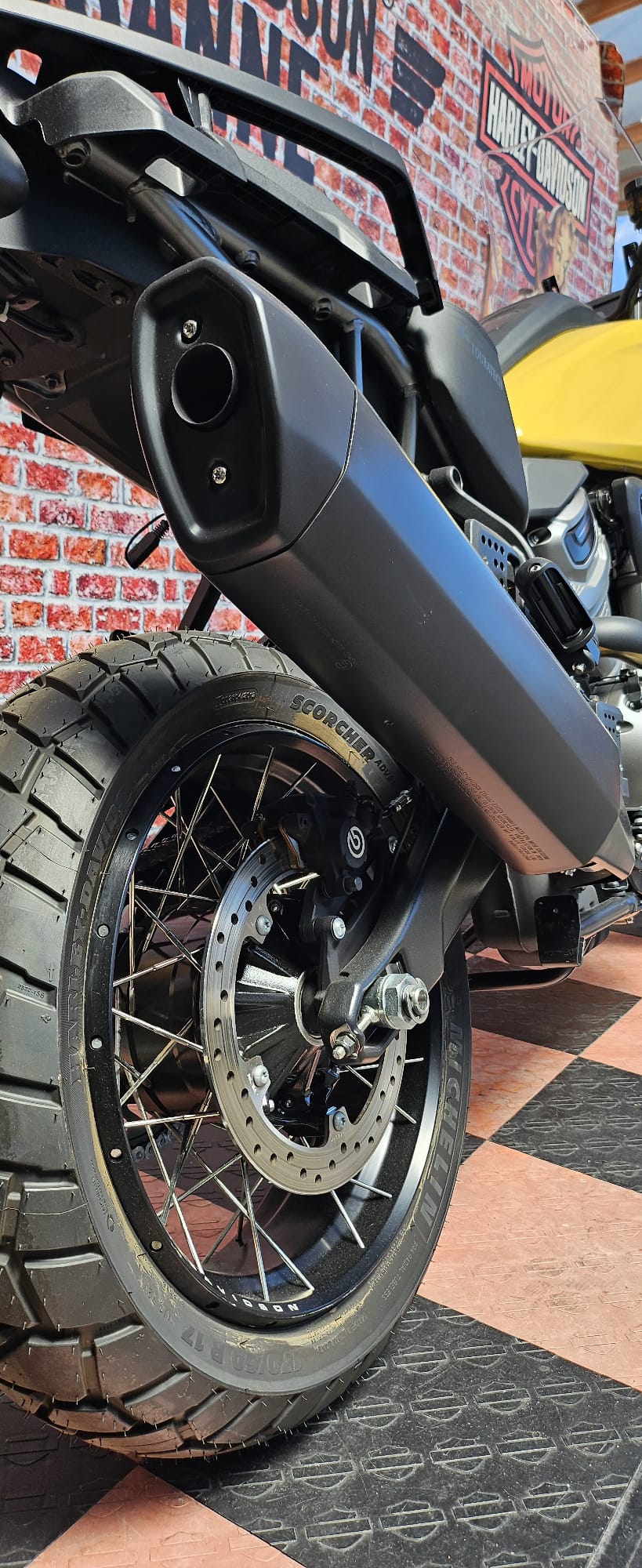 HARLEY-DAVIDSON RA Pan America 1250 Special-image-9