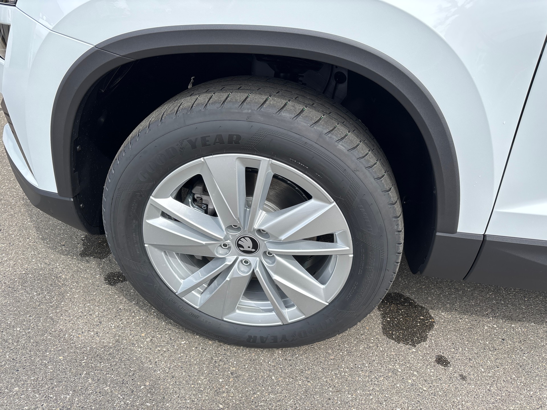 SKODA Karoq 2.0 TDI CR Selection 4x4 DSG-image-17