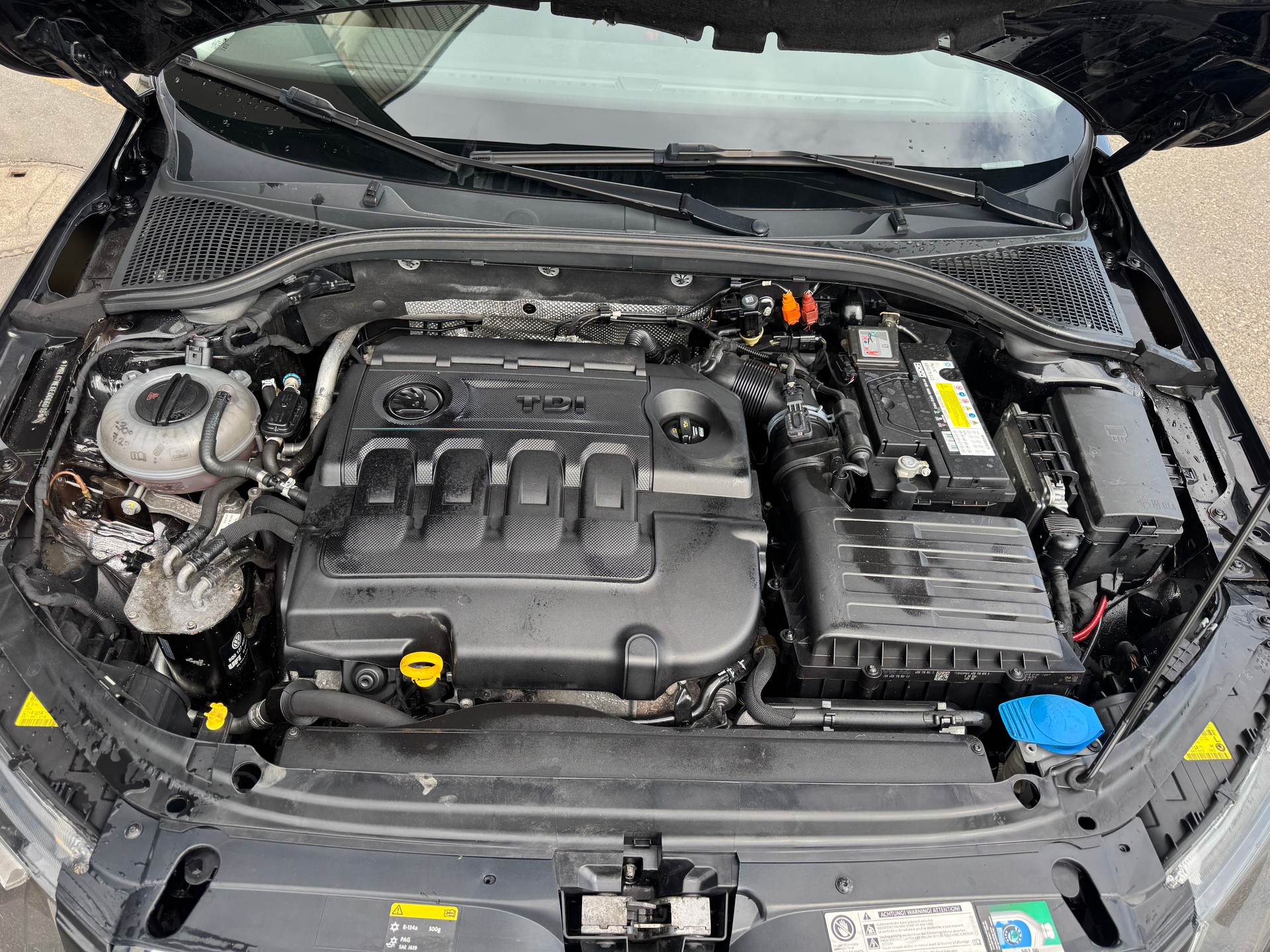 SKODA Octavia Combi 1.6 TDI Elegance 4x4-image-12