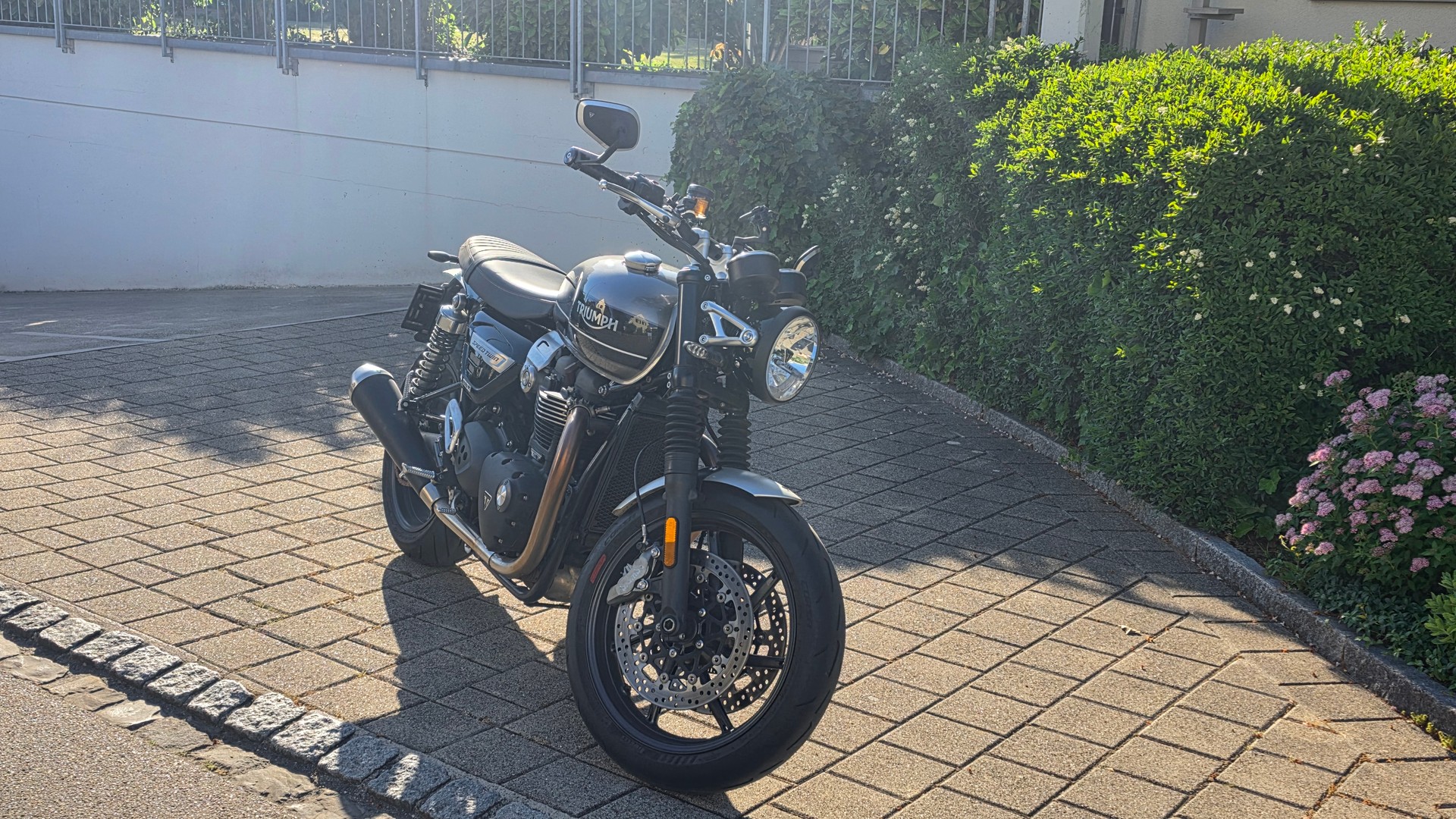 TRIUMPH Speed Twin 1200-image-7
