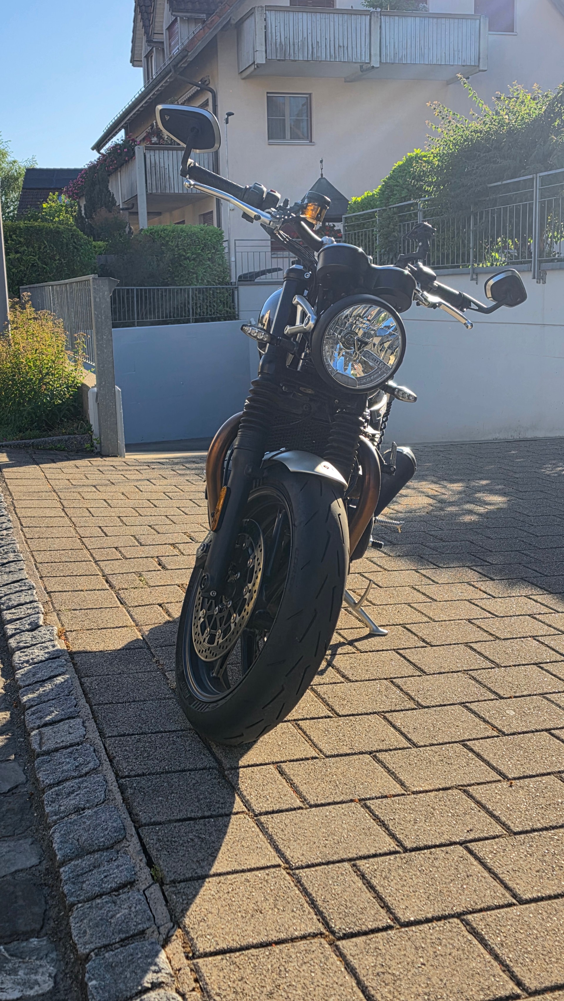 TRIUMPH Speed Twin 1200-image-6