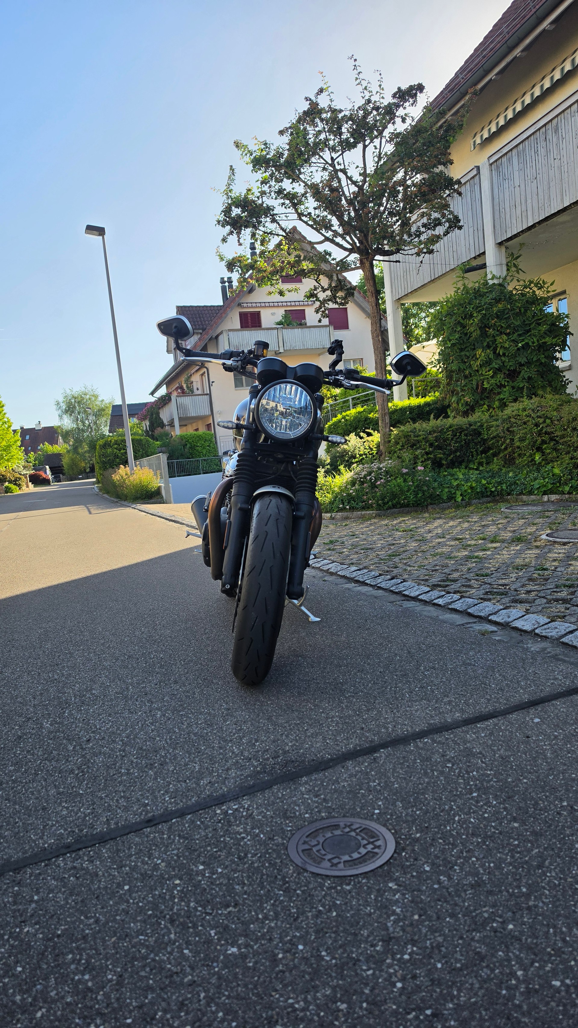 TRIUMPH Speed Twin 1200-image-5