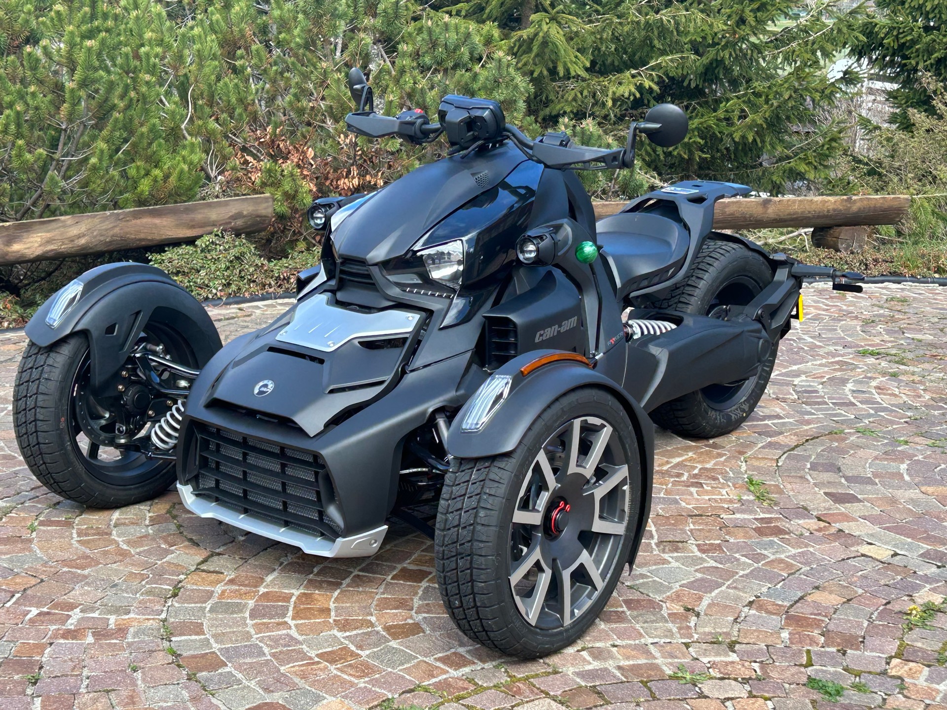 CAN-AM Ryker 900 rally-image-4