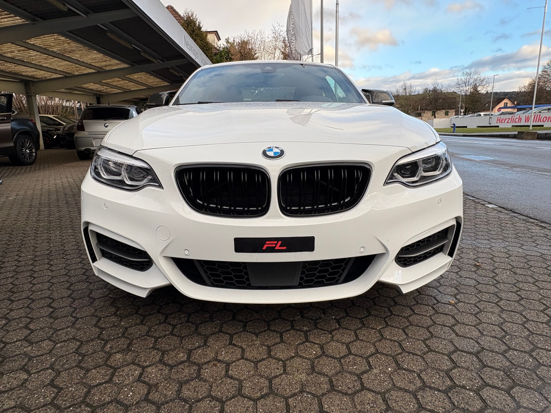 BMW M240i xDrive Steptronic-image-1