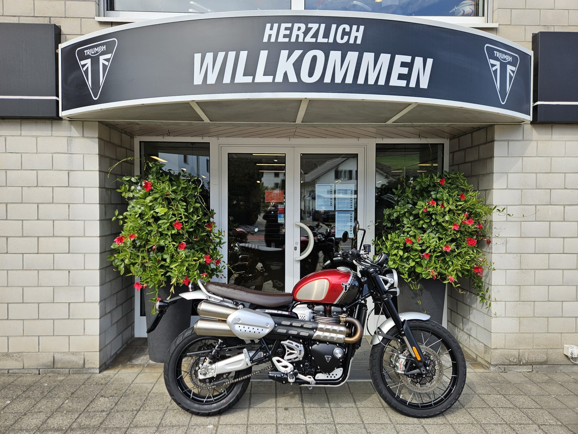 TRIUMPH Scrambler 1200 XC Gold Line-image-0