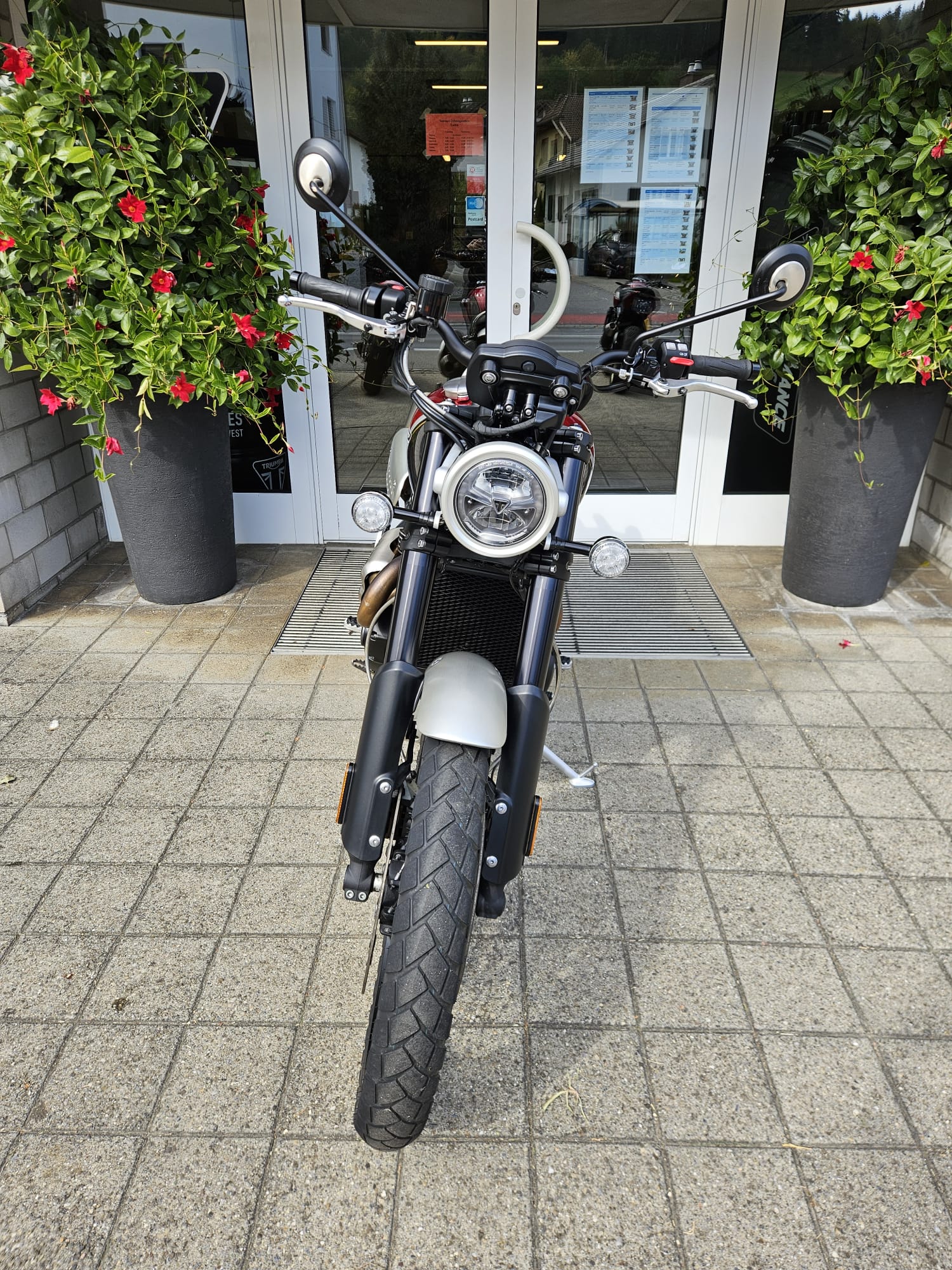TRIUMPH Scrambler 1200 XC Gold Line-image-7