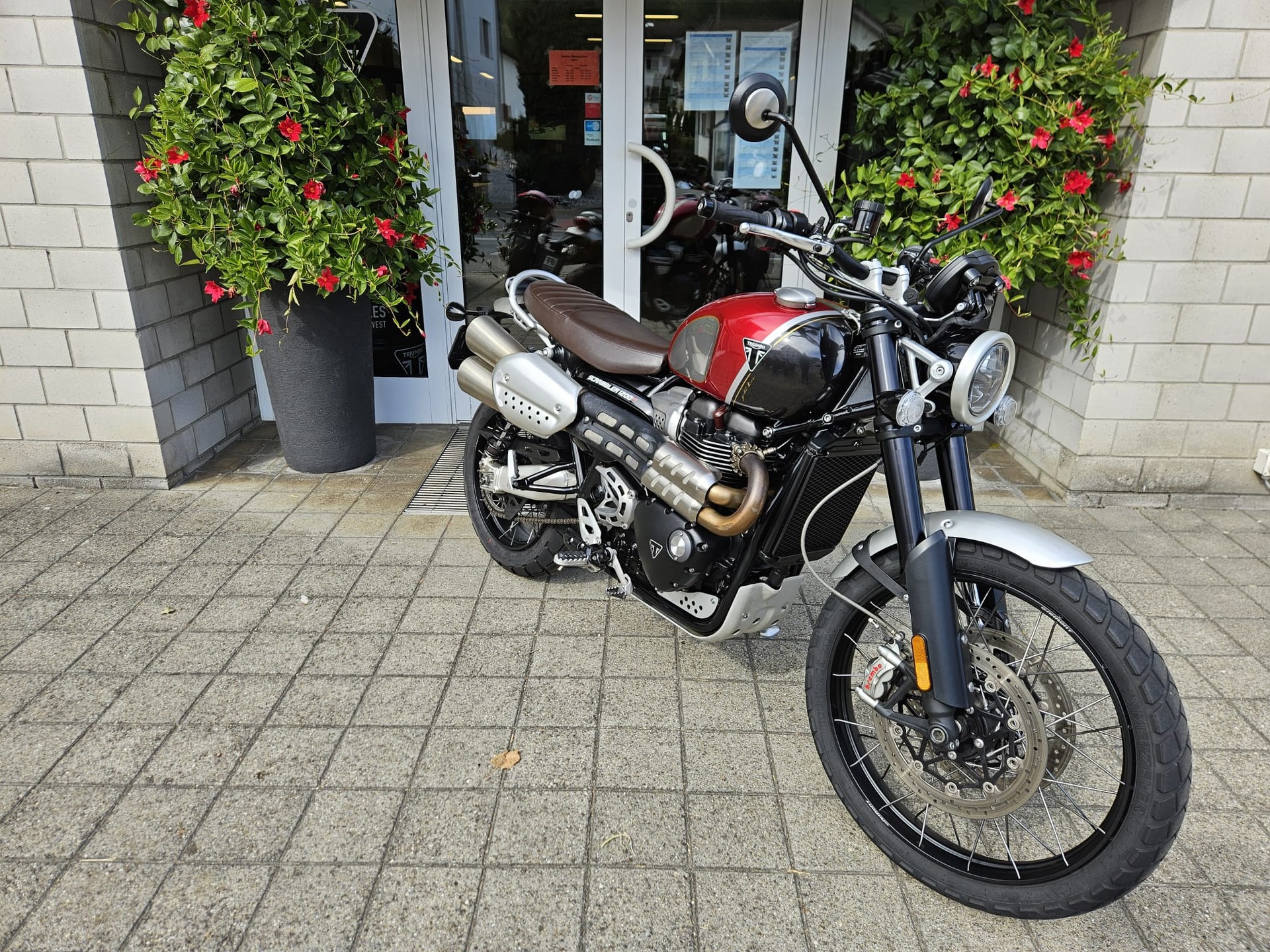 TRIUMPH Scrambler 1200 XC Gold Line-image-2