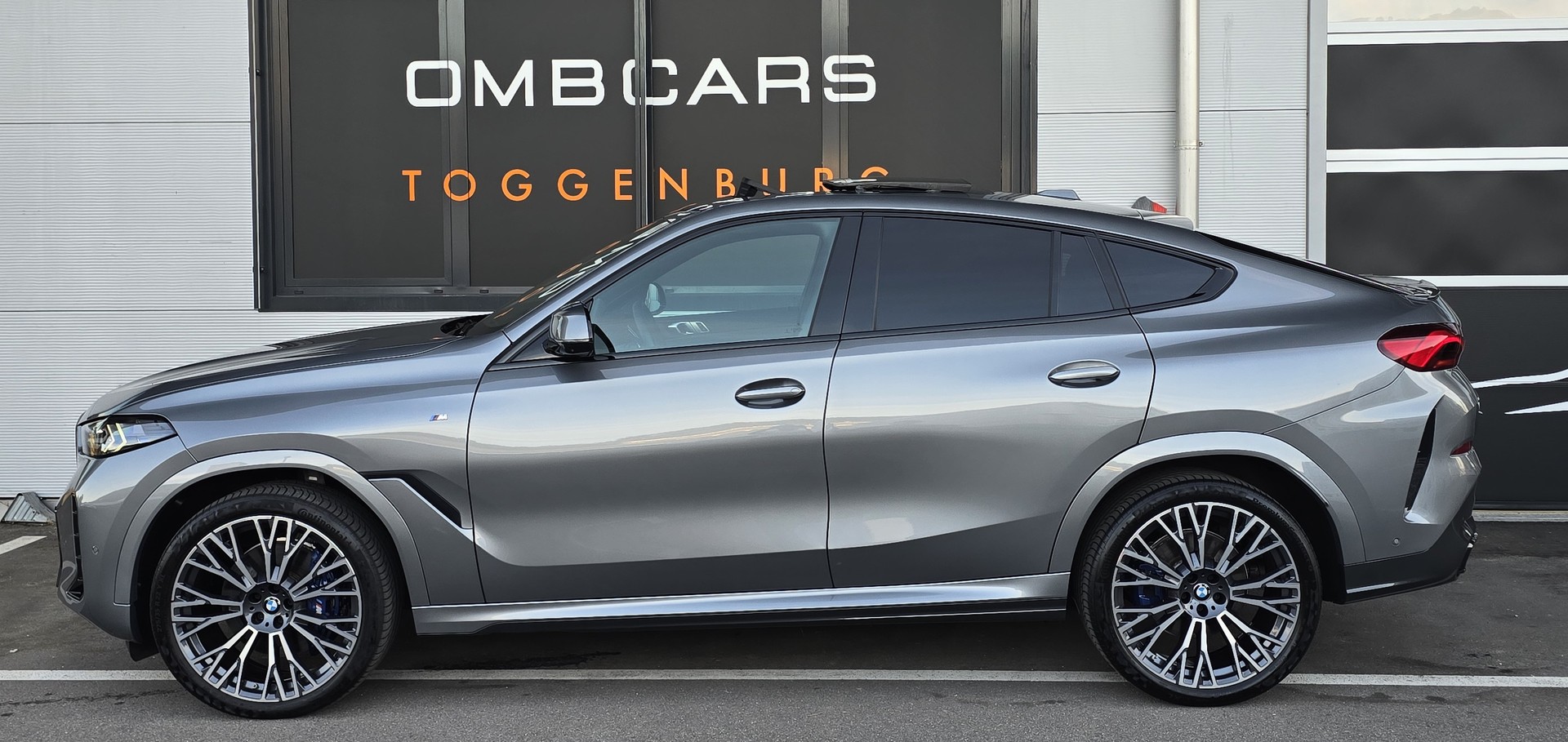 BMW X6 xDrive 48V 40d M Sport Pro Steptronic-image-6