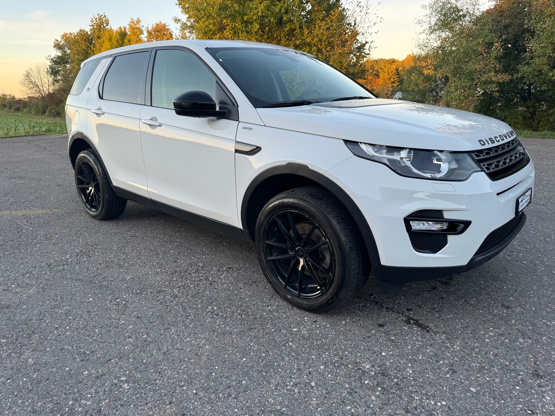 LAND ROVER Discovery Sport 2.0 TD4 HSE AT9-showroom-element-1