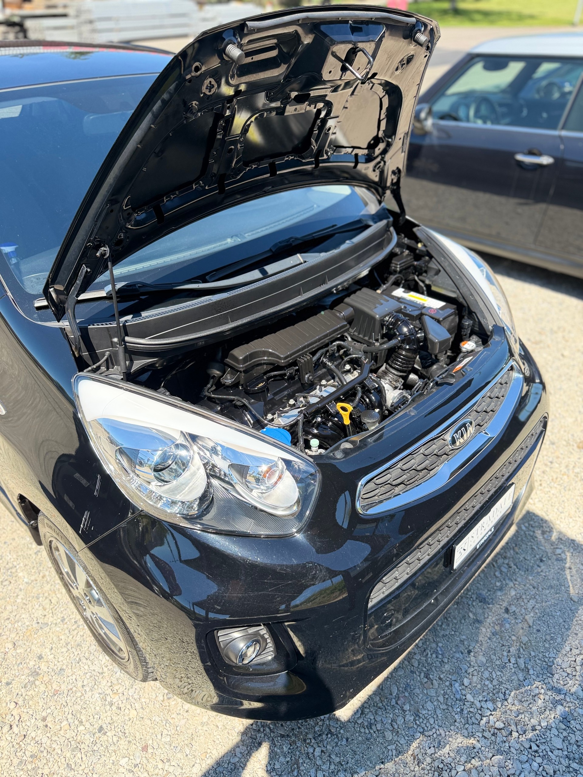 KIA Picanto 1.2 CVVT Swiss Champion-image-15