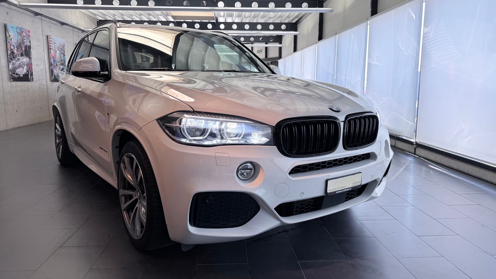 BMW X5 30d xDrive SAG-showroom-element-2