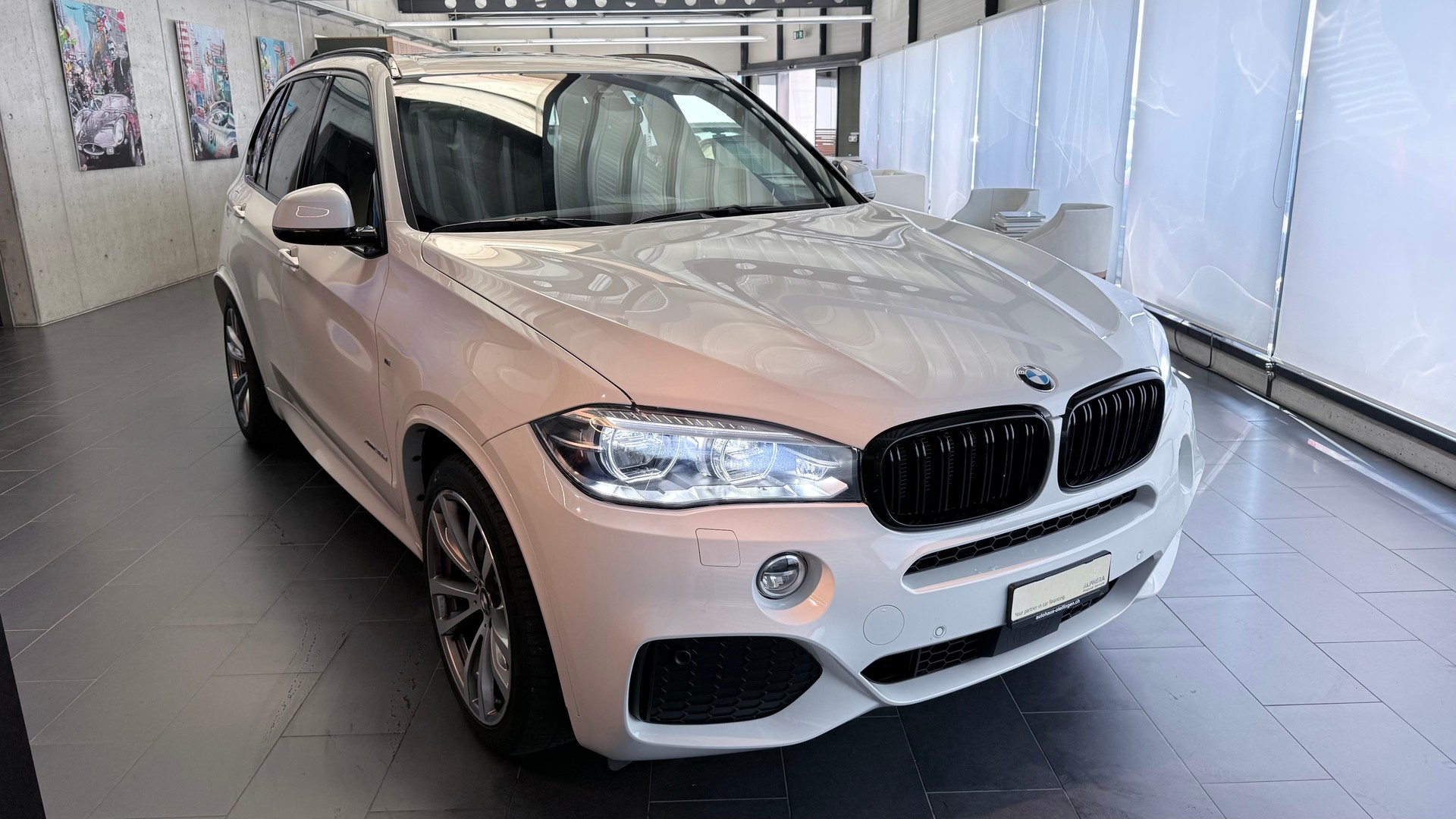 BMW X5 30d xDrive SAG-showroom-element-1