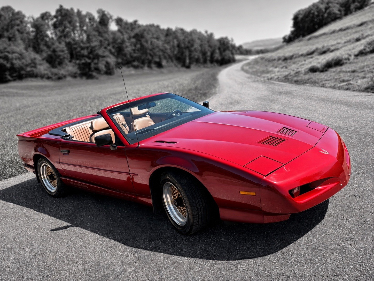 PONTIAC Firebird Veteran 5.0L V8 Trans Am-image-1