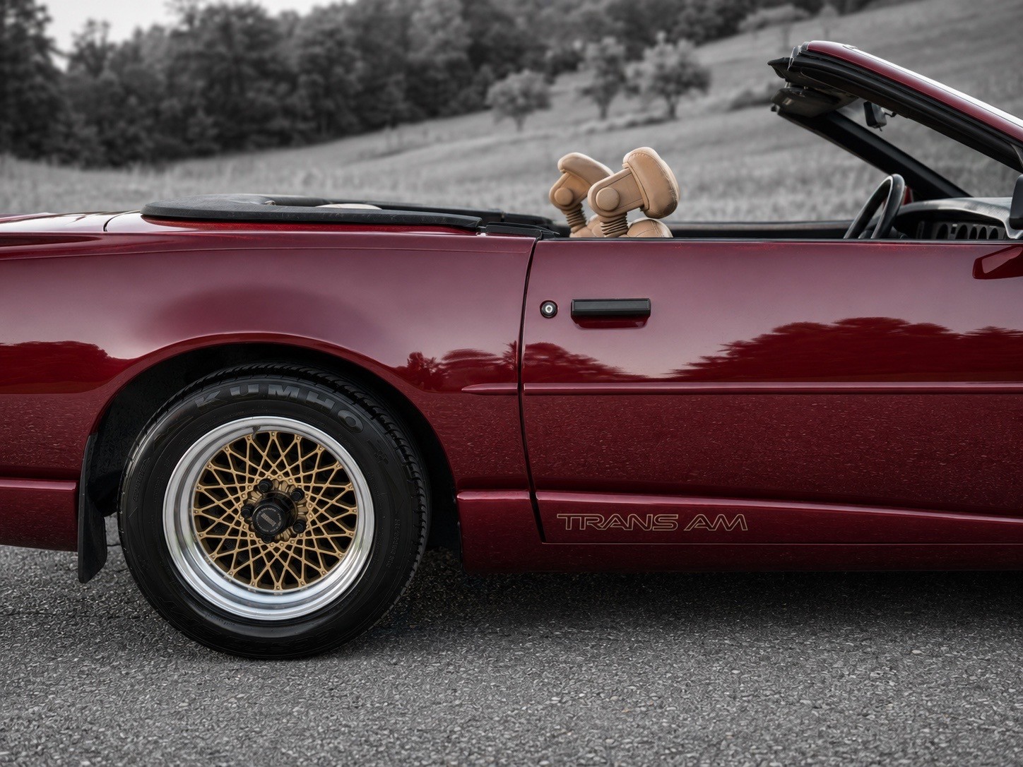 PONTIAC Firebird Veteran 5.0L V8 Trans Am-image-4
