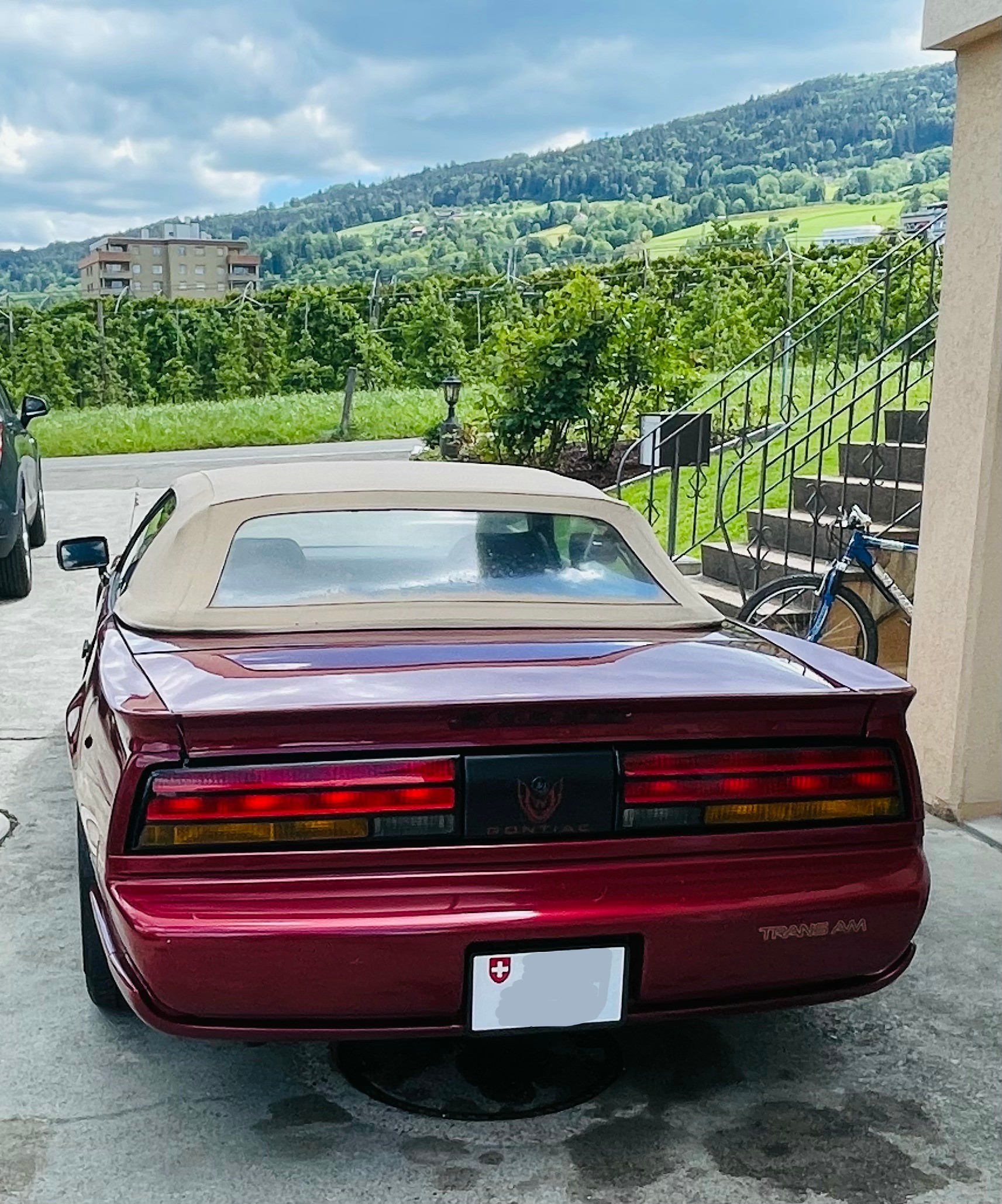 PONTIAC Firebird Veteran 5.0L V8 Trans Am-image-15