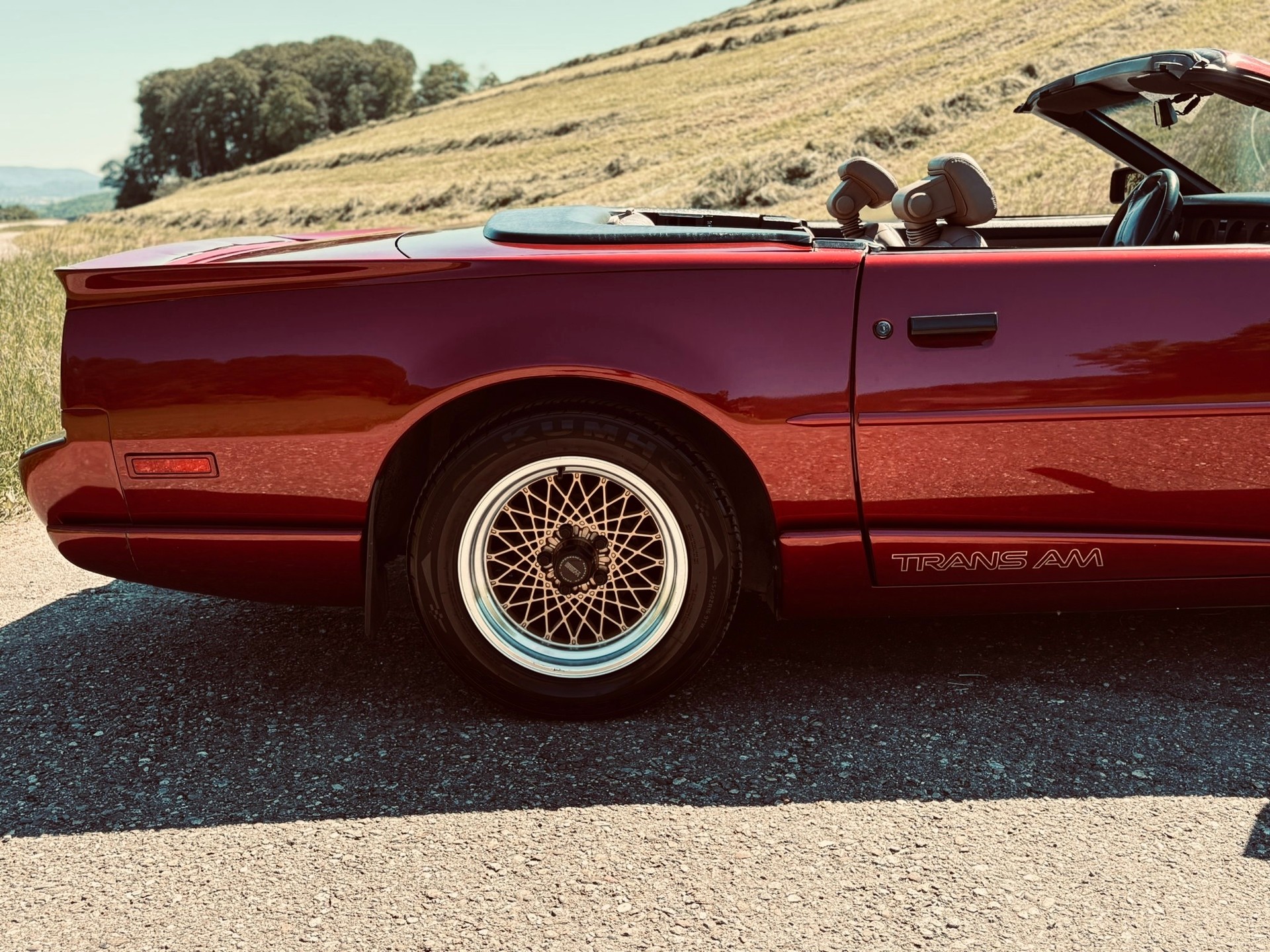 PONTIAC Firebird Veteran 5.0L V8 Trans Am-image-2